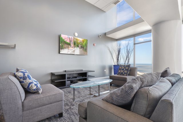 100 East 14th Street, Unit 708 Chicago, IL 60605 - Photo 22 of 25 a living room with furniture and a potted plant