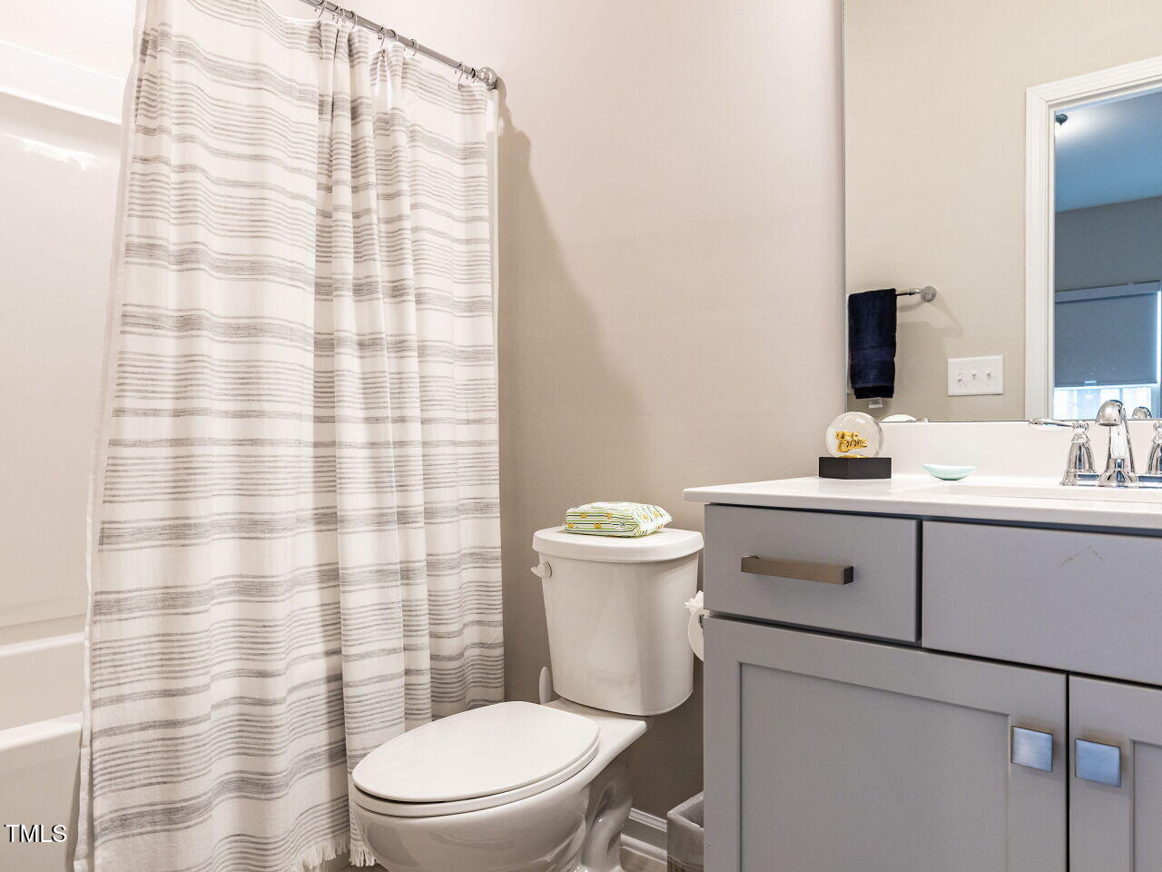 730 Firebrick Drive Cary, NC 27519 - Photo 9 of 38 a bathroom with a sink a toilet a mirror and shower curtain