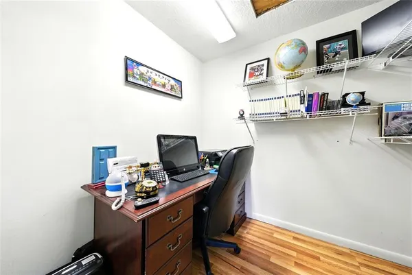 a view of a garden with a tree