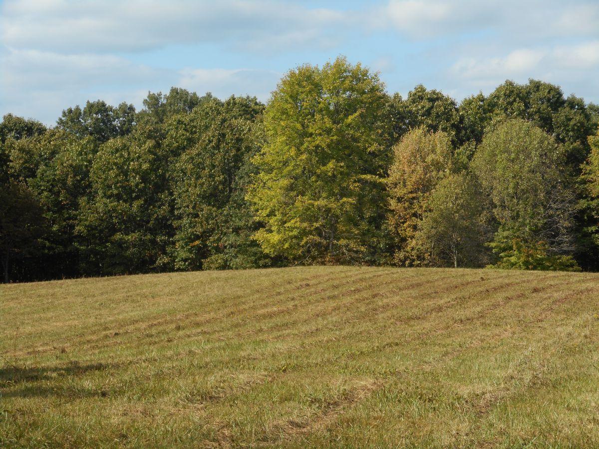 11200 Hooper Ridge Road Glouster, OH 45732 - Photo 15 of 20
