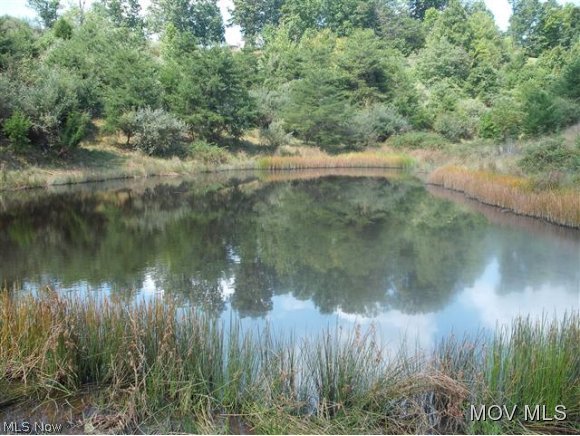 1739 Hulderman Ridge Harrisville, WV 26362 - Photo 16 of 17 Stocked Pond