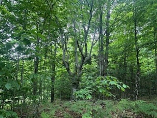 V/l McKinney Road Central Lake, MI 49622 - Photo 11 of 29