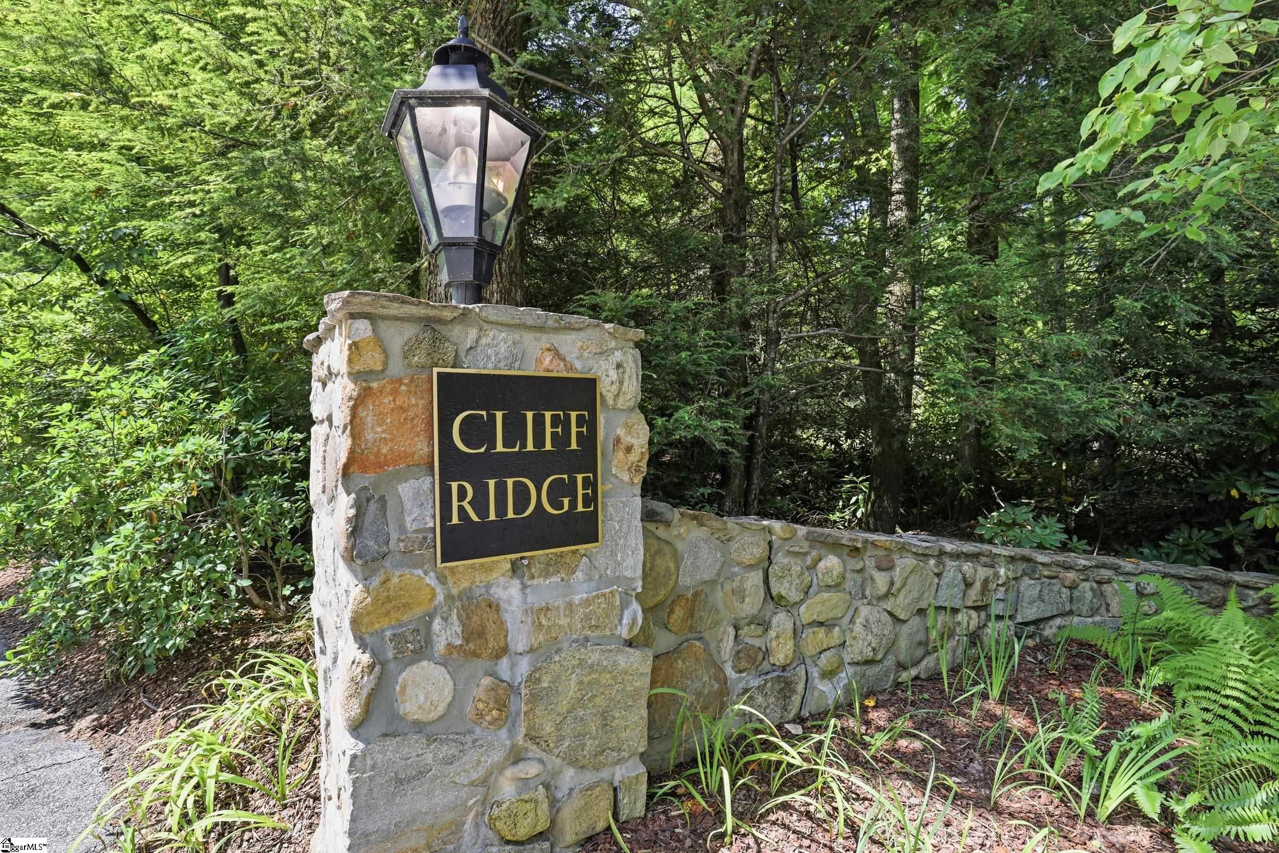 127 Conifer Falls Road Cleveland, SC 29635 - Photo 15 of 28 Gallery Image 15