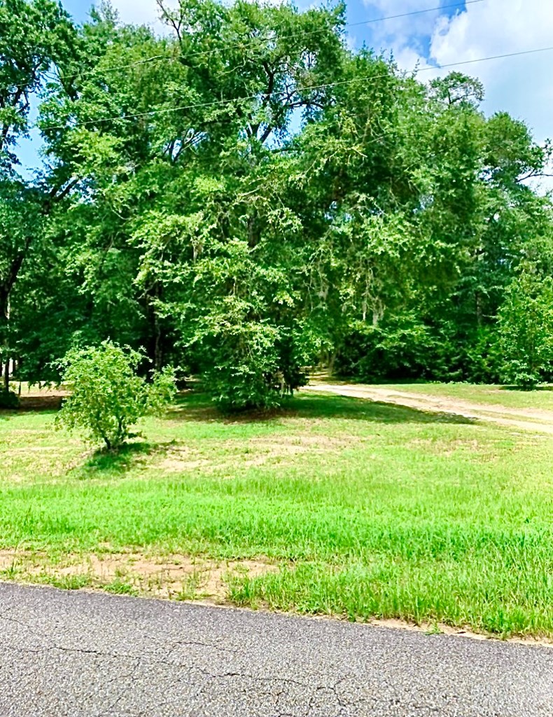 0 County Road 53 Abbeville, AL 36310 - Photo 3 of 10