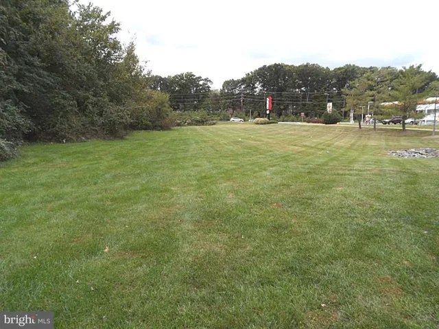 a view of a swimming pool with a yard