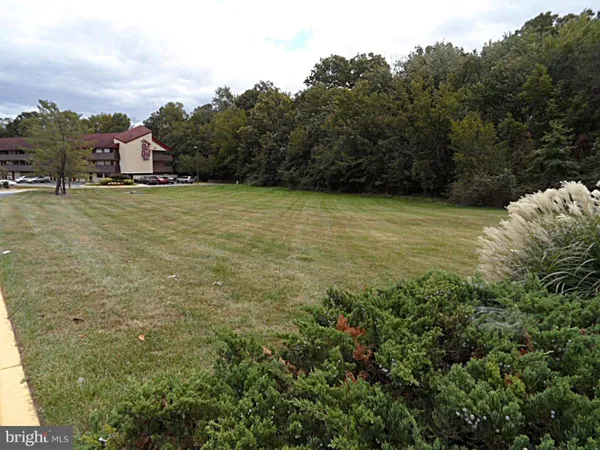 a view of a field with trees in the background
