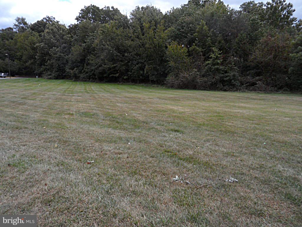 12513 Laurel Bowie Road Laurel, MD 20708 - Photo 8 of 22 a view of a field with trees in the background