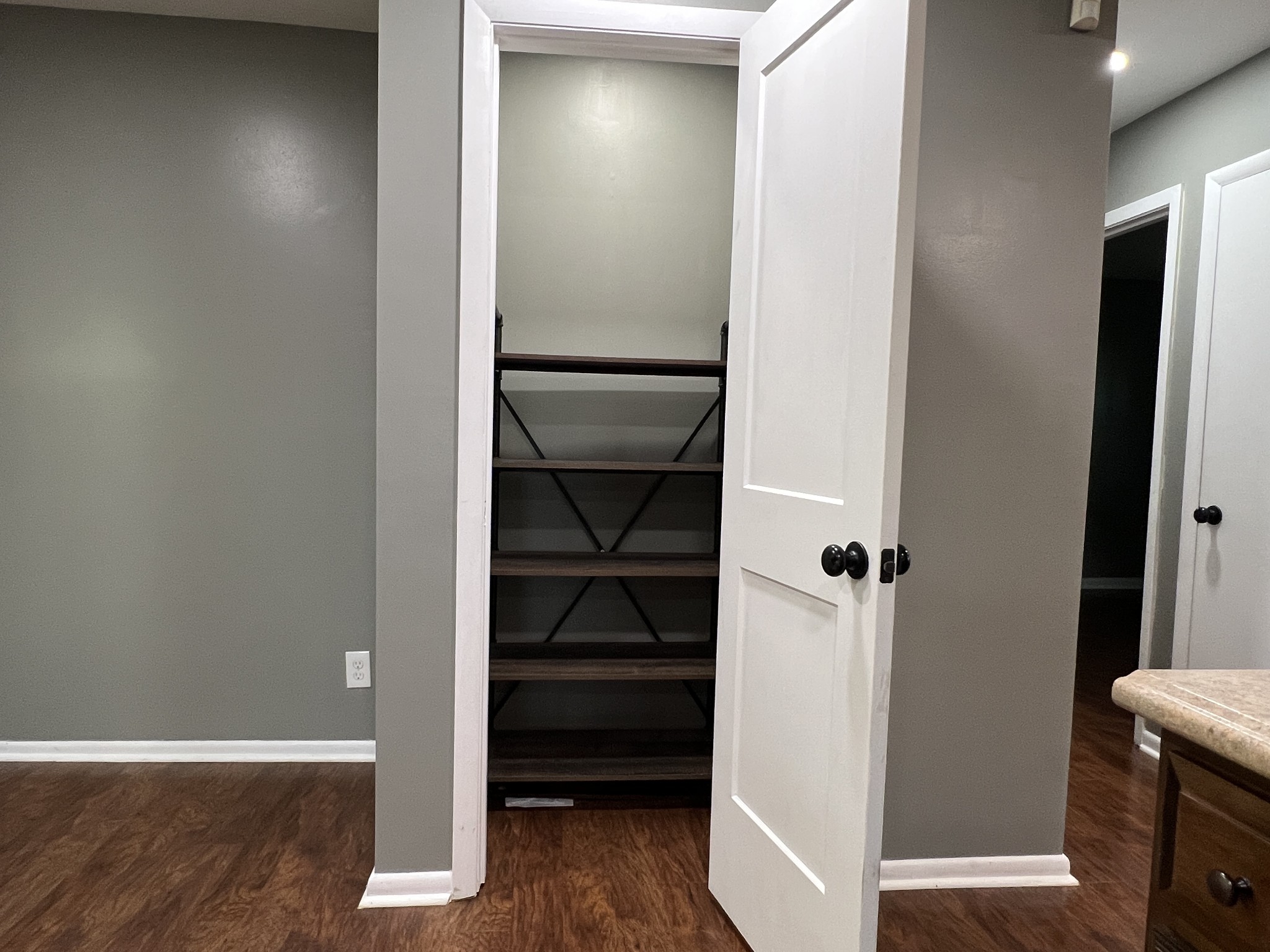 3019 Friendship Road Cross Plains, TN 37049 - Photo 14 of 39 a view of walk in closet