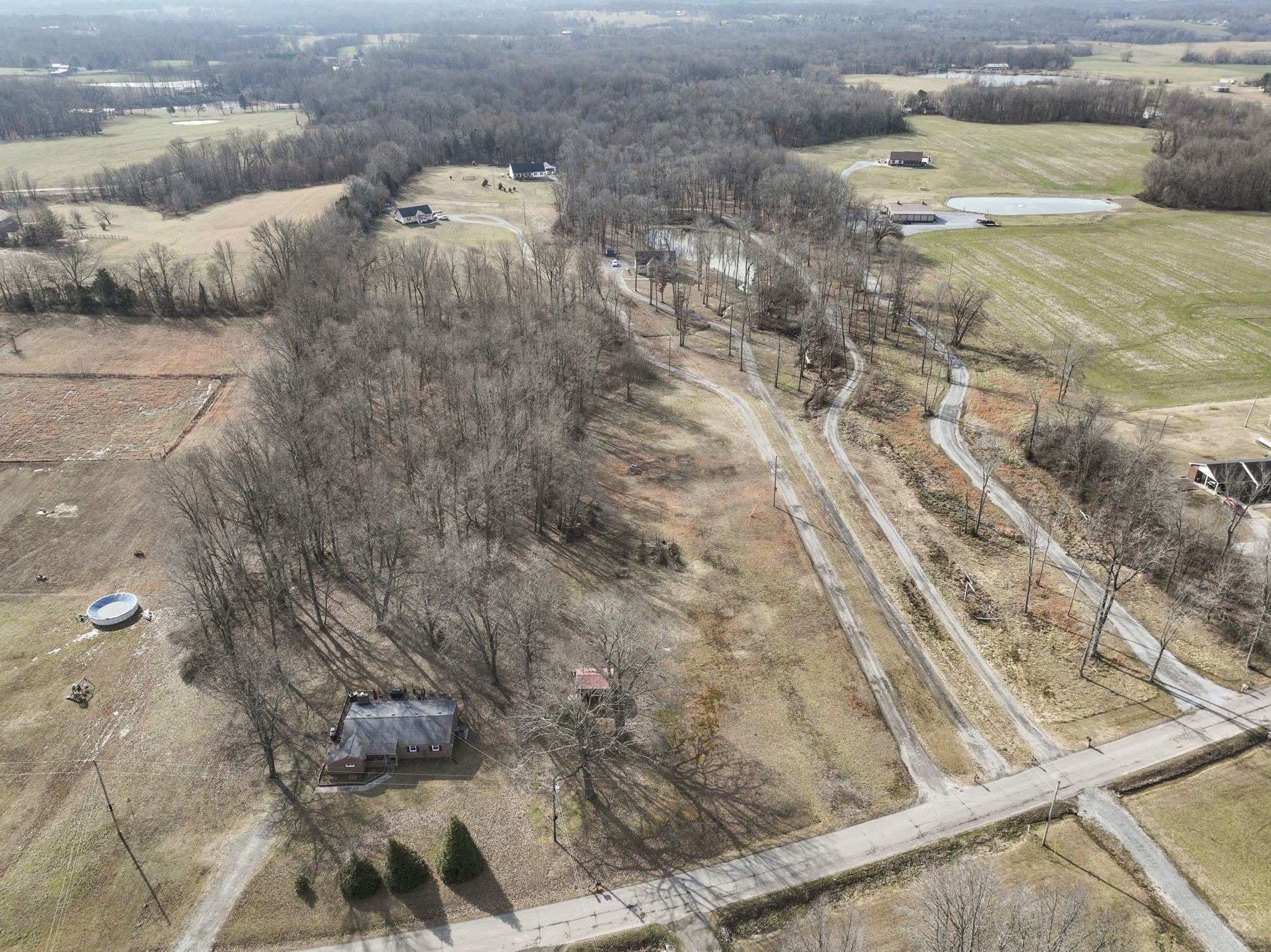 3019 Friendship Road Cross Plains, TN 37049 - Photo 37 of 39 a view of lot of items
