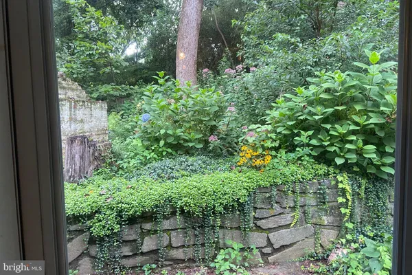 a plant view in yard