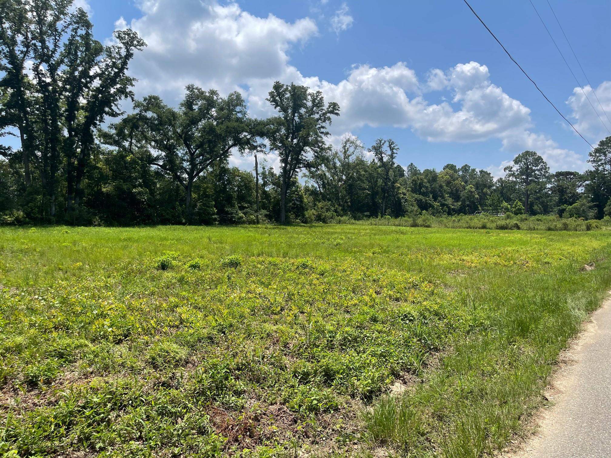 25636 Highway 98 Elberta, AL 36530 - Photo 1 of 24