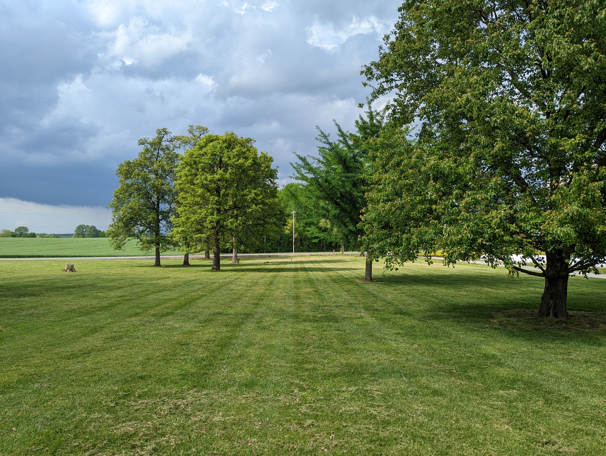 6765 Highland Road Portland, TN 37148 - Photo 21 of 31 a view of field with trees in background