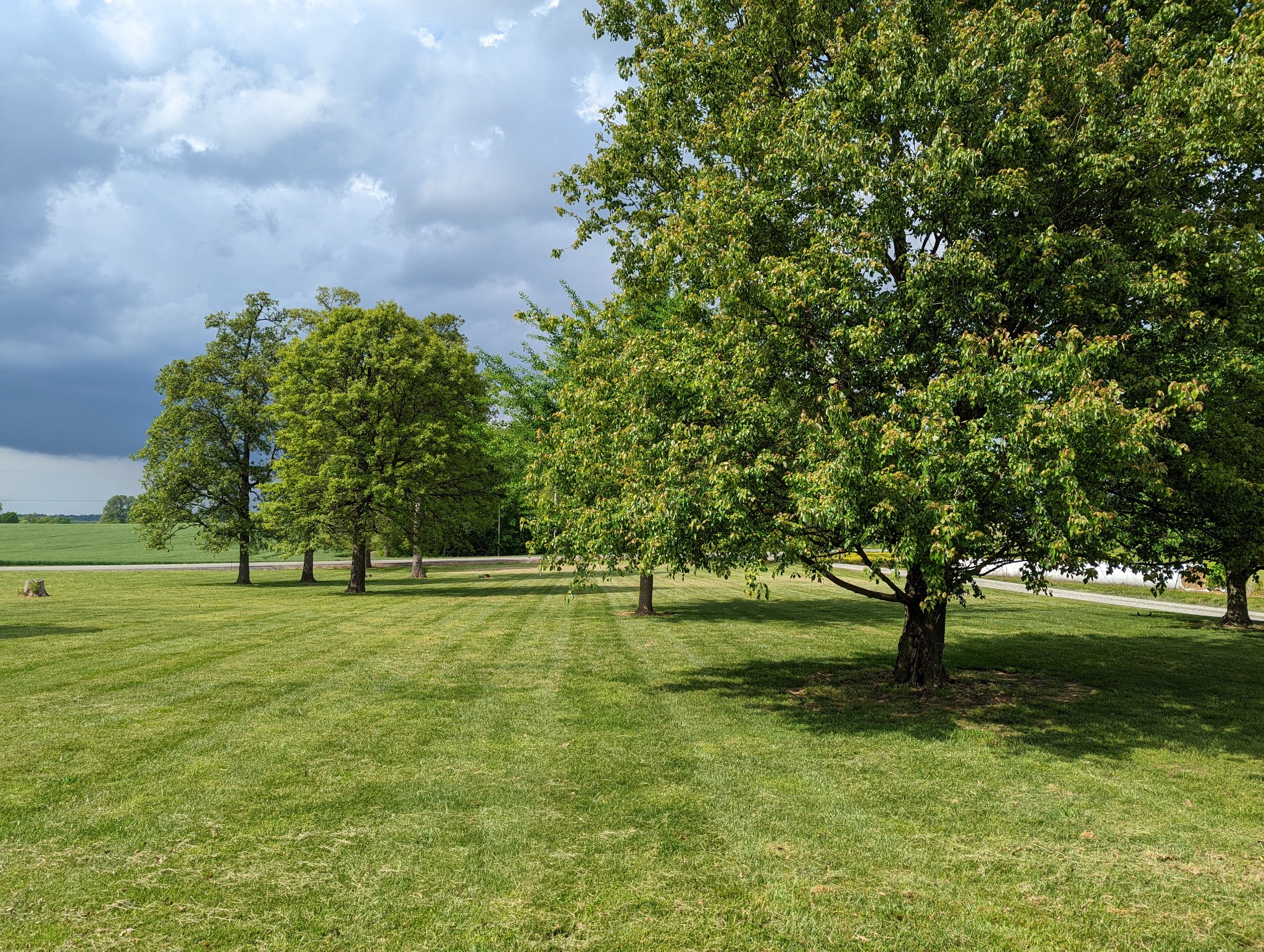 6765 Highland Road Portland, TN 37148 - Photo 5 of 31 a big yard with lots of green space and plants