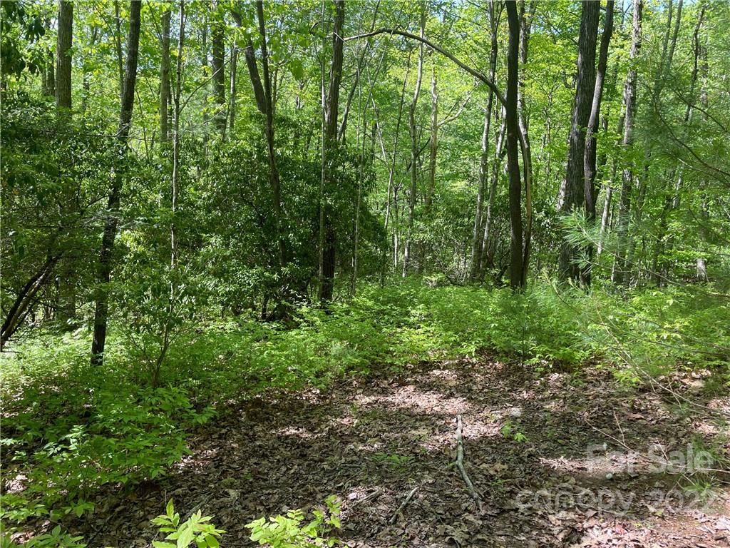 0 Big Branch Road, Unit 53 Brevard, NC 28712 - Photo 14 of 18 Gallery Image 14