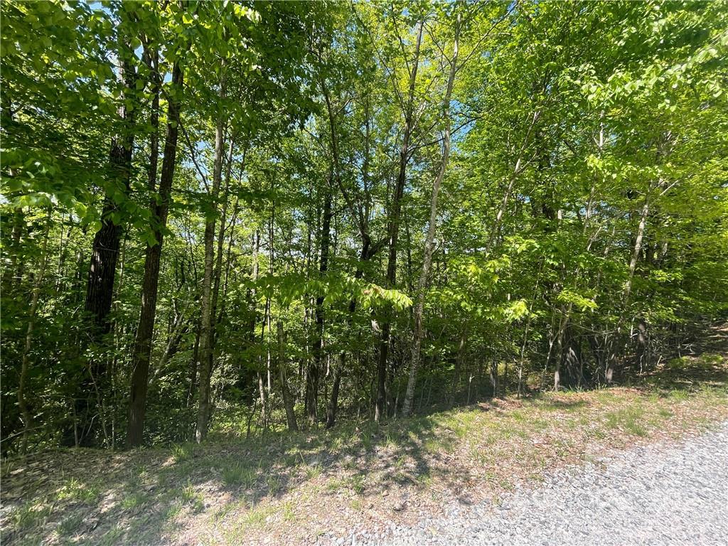 0 Big Branch Road, Unit 53 Brevard, NC 28712 - Photo 15 of 18 Gallery Image 15
