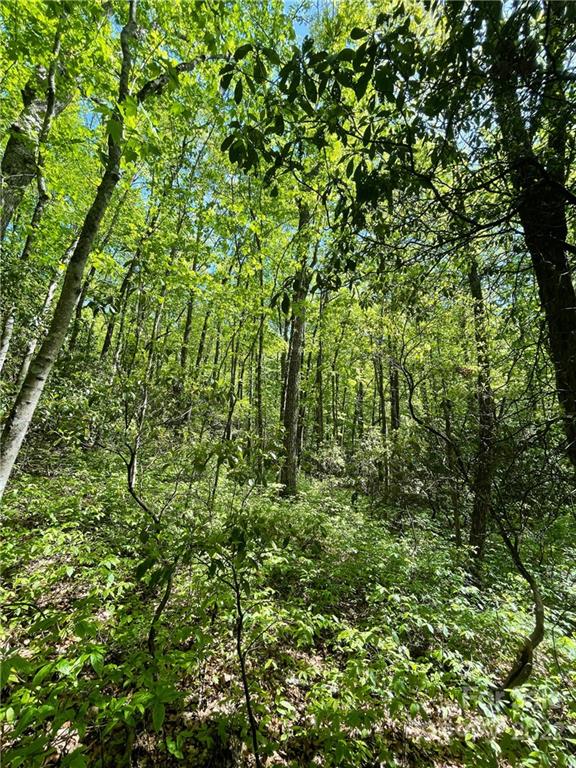 0 Big Branch Road, Unit 53 Brevard, NC 28712 - Photo 17 of 18 Gallery Image 17