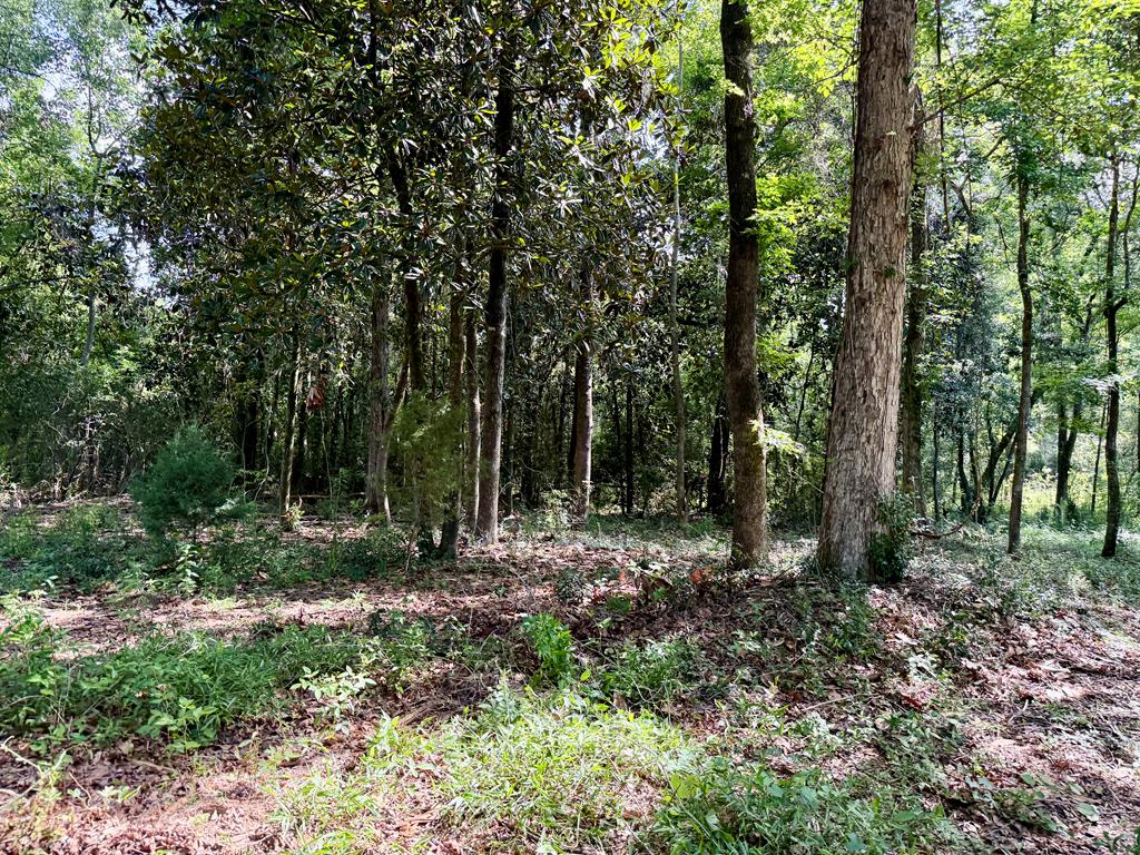1243 Silcox Road Ashford, AL 36312 - Photo 68 of 92