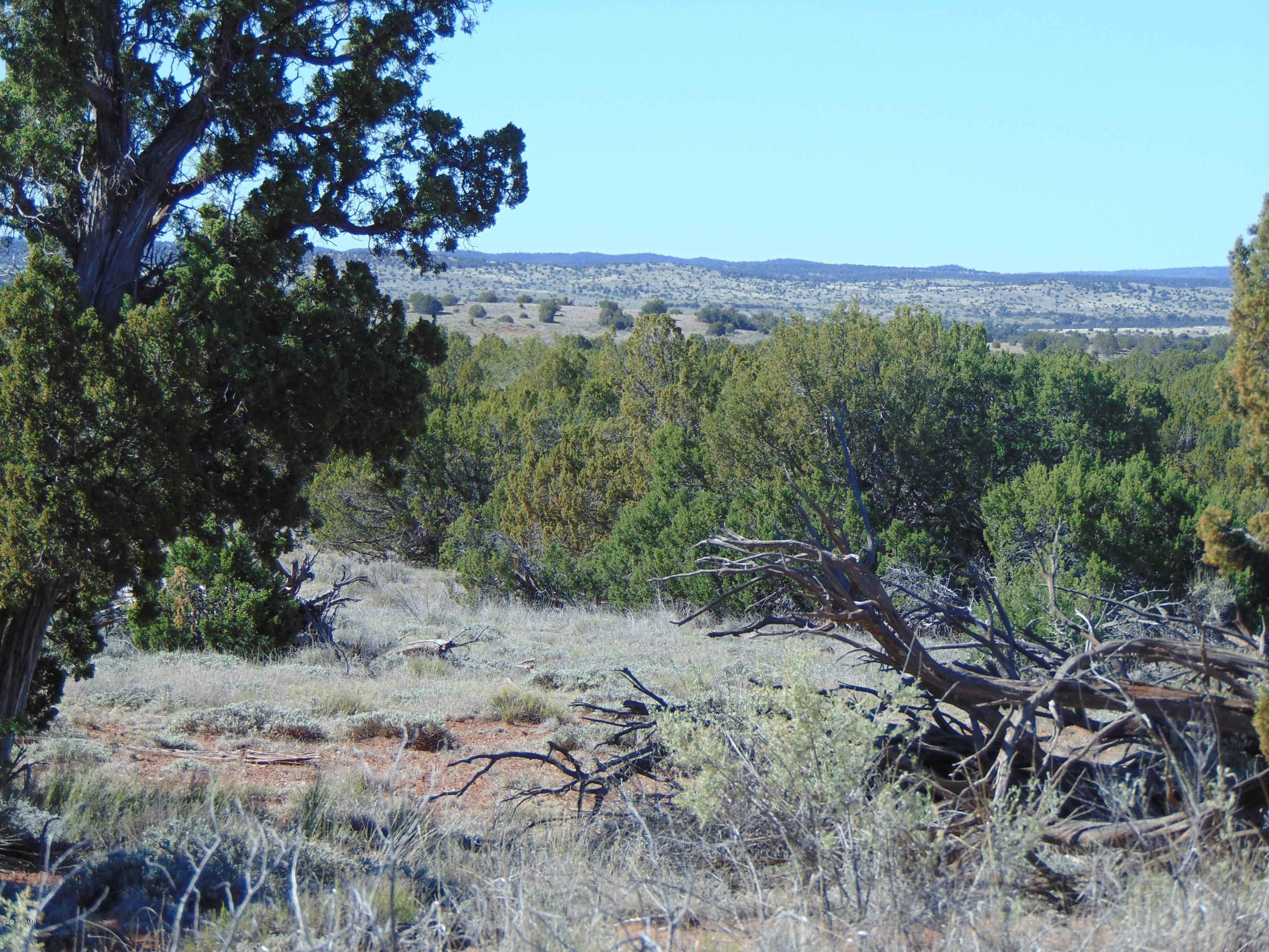 3634 Bum Heel Ranch Road Heber, AZ 85928 - Photo 1 of 33 Gallery Image 1