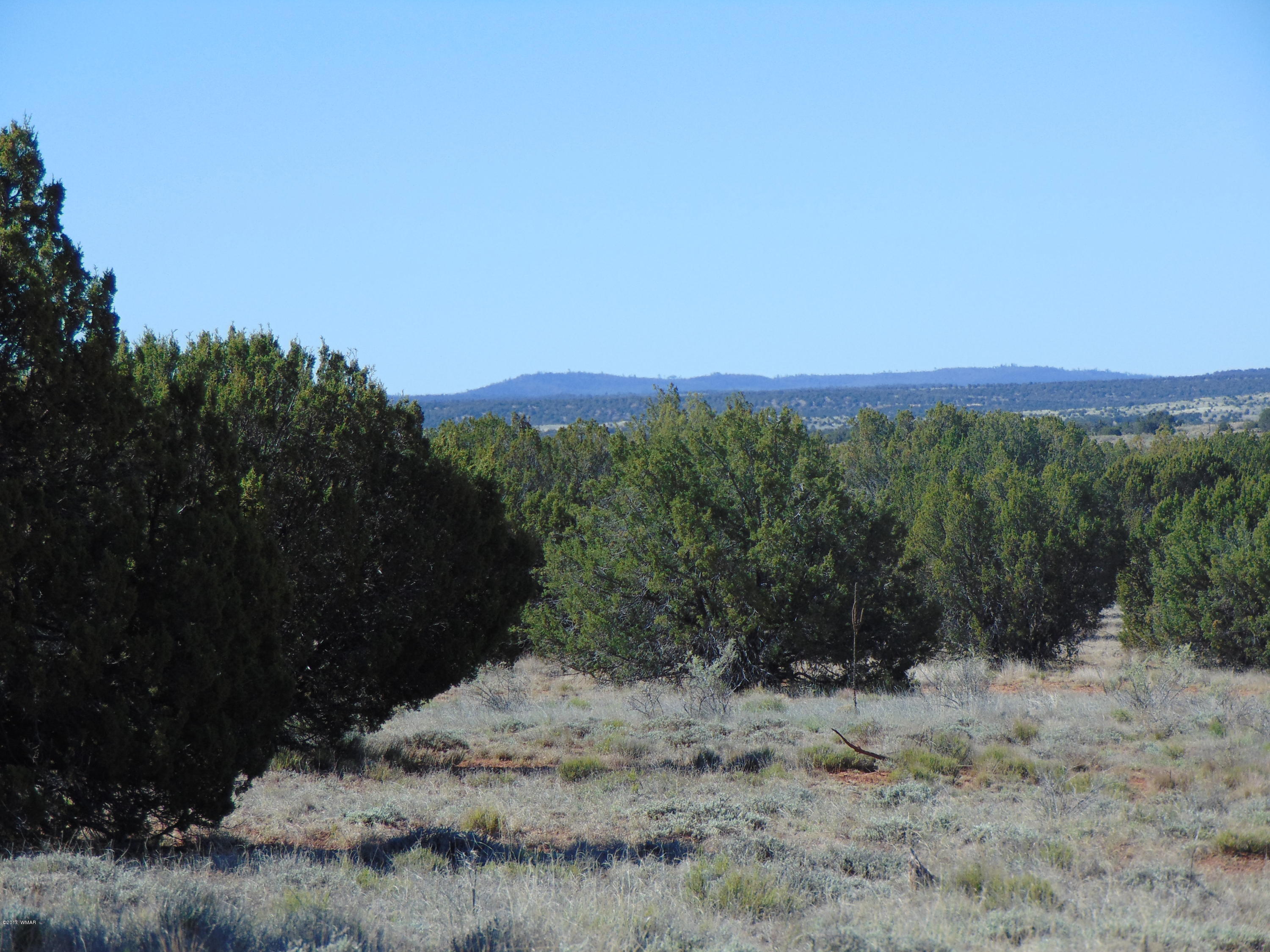 3634 Bum Heel Ranch Road Heber, AZ 85928 - Photo 11 of 33 Gallery Image 11
