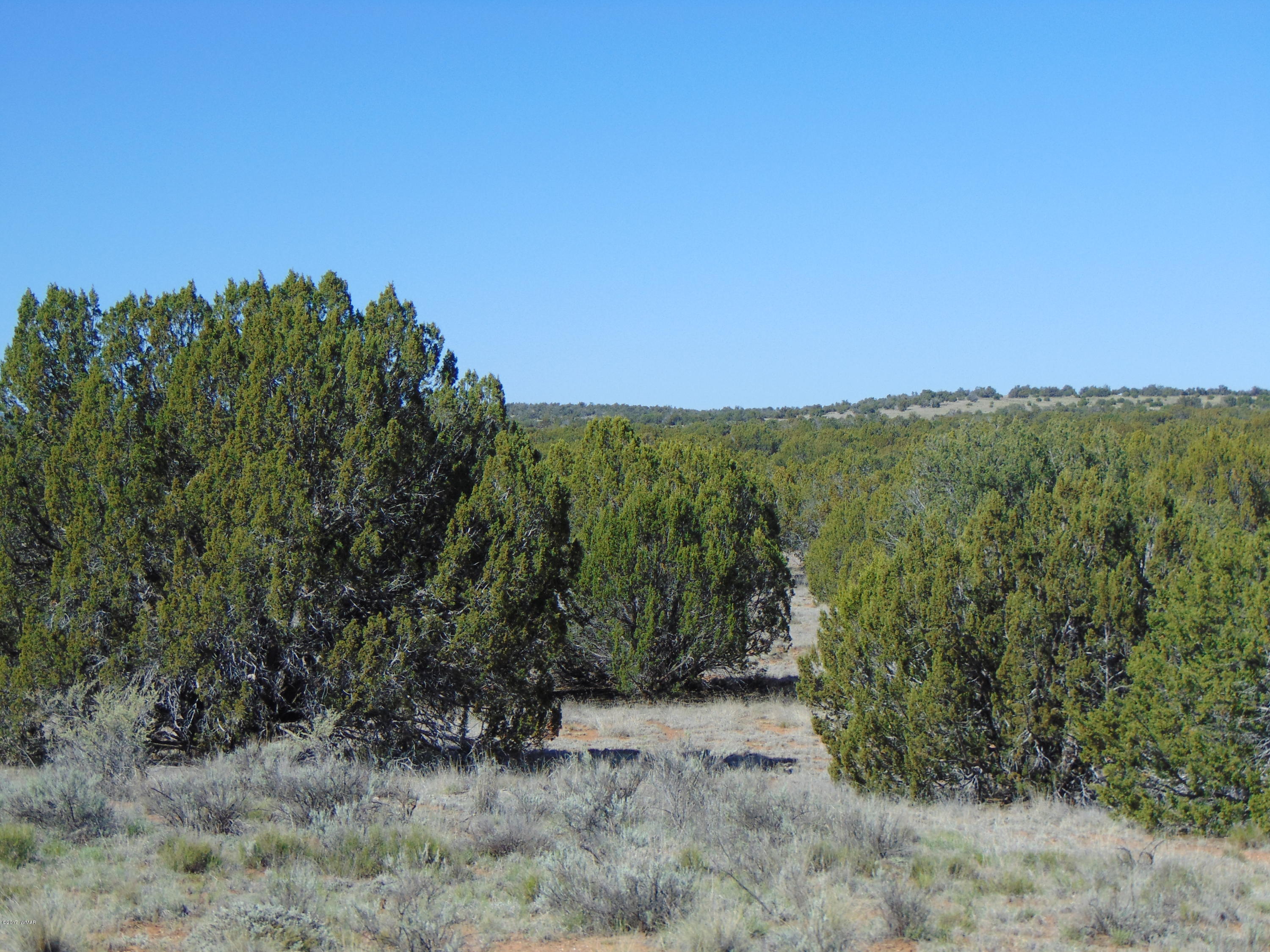 3634 Bum Heel Ranch Road Heber, AZ 85928 - Photo 12 of 33 Gallery Image 12
