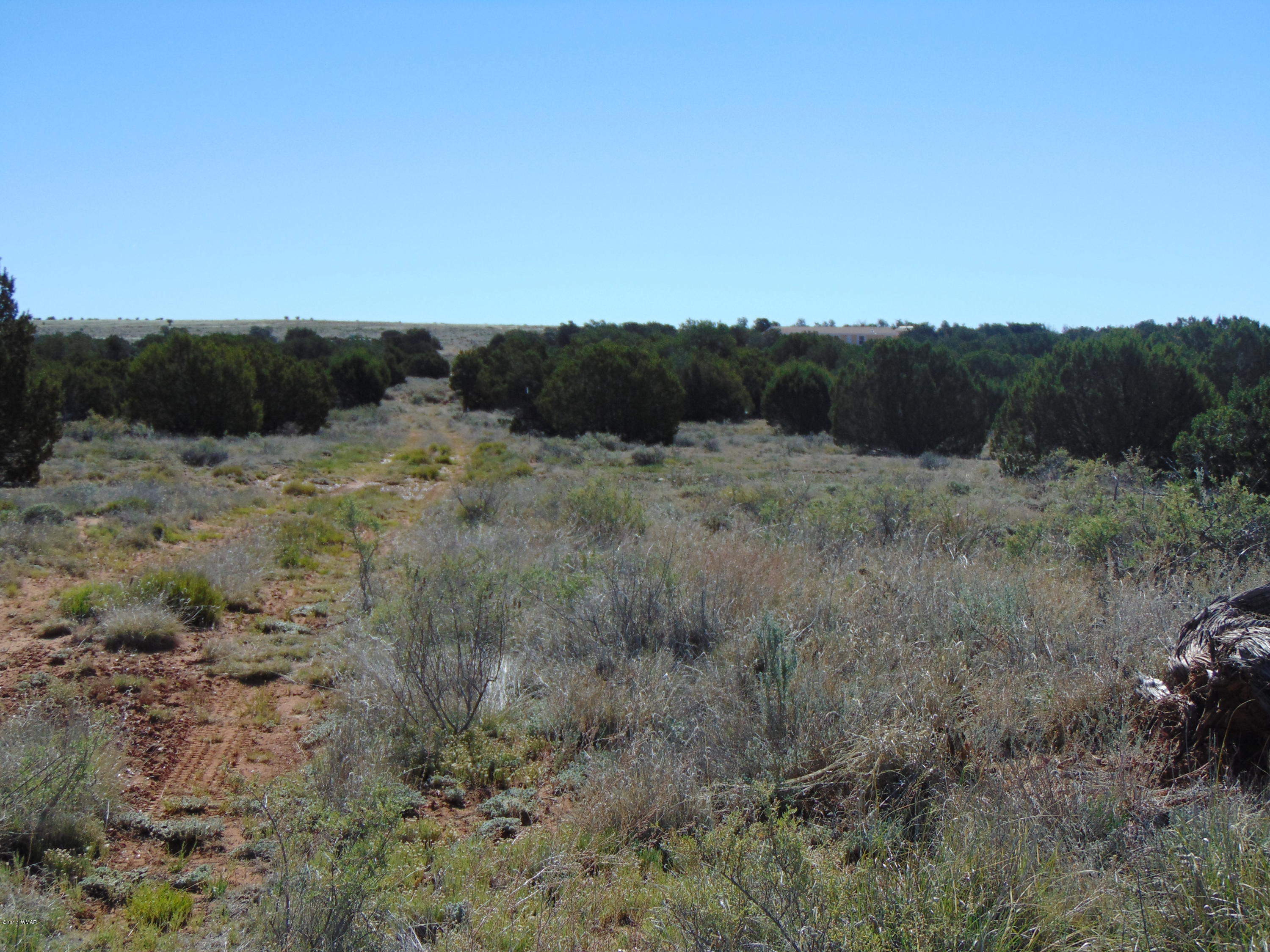 3634 Bum Heel Ranch Road Heber, AZ 85928 - Photo 14 of 33 Gallery Image 14