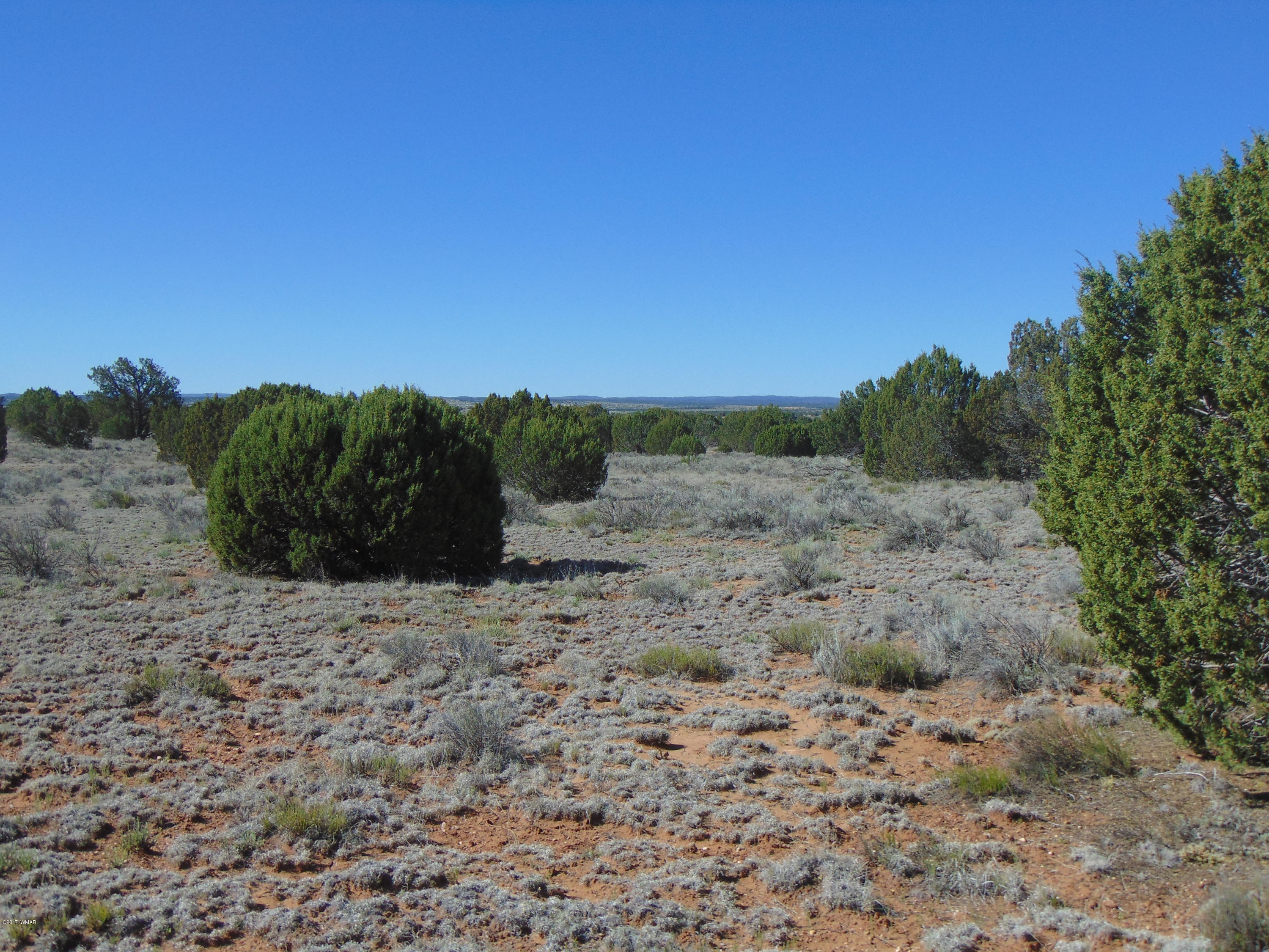 3634 Bum Heel Ranch Road Heber, AZ 85928 - Photo 17 of 33 Gallery Image 17