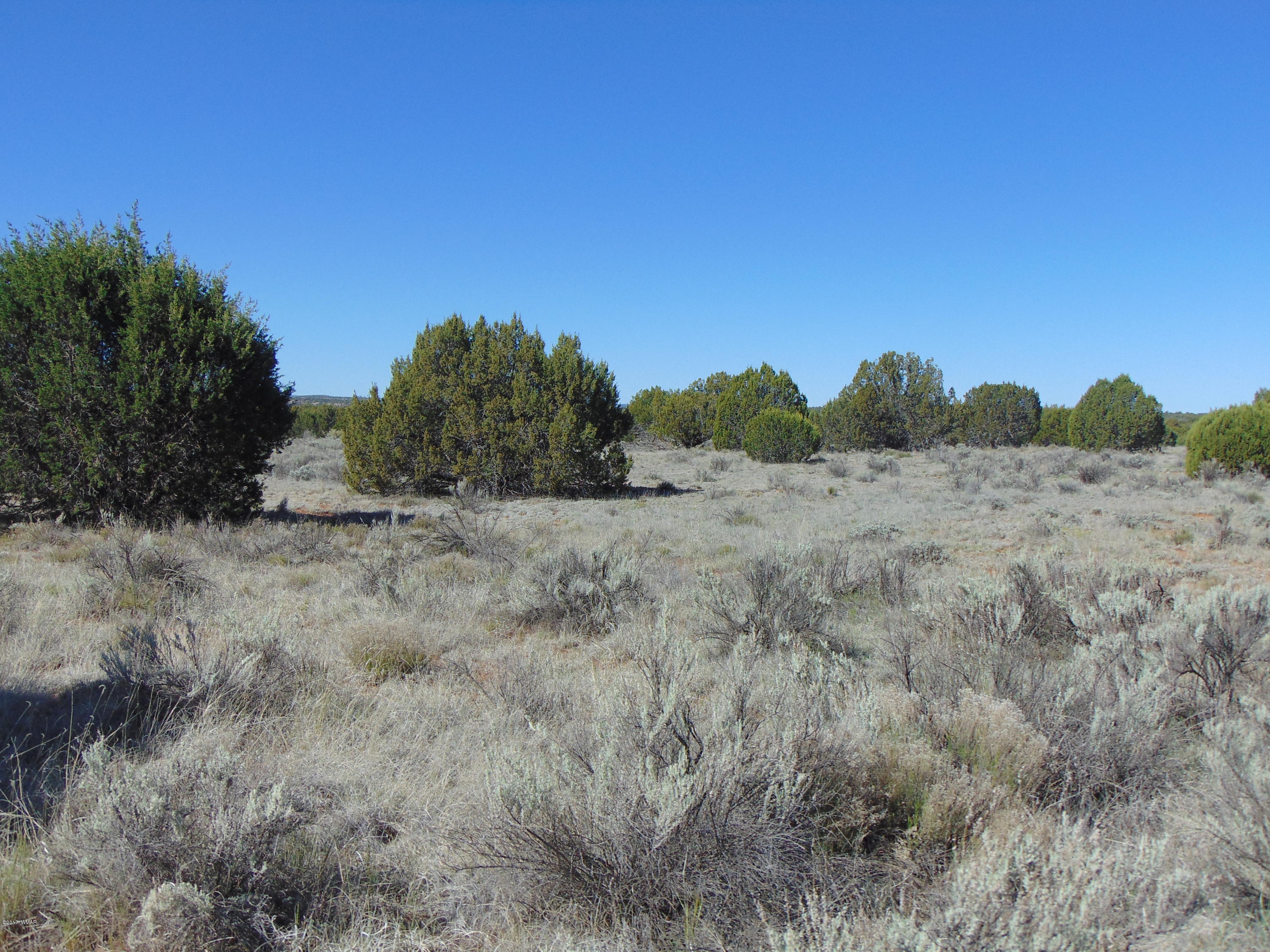 3634 Bum Heel Ranch Road Heber, AZ 85928 - Photo 18 of 33 Gallery Image 18