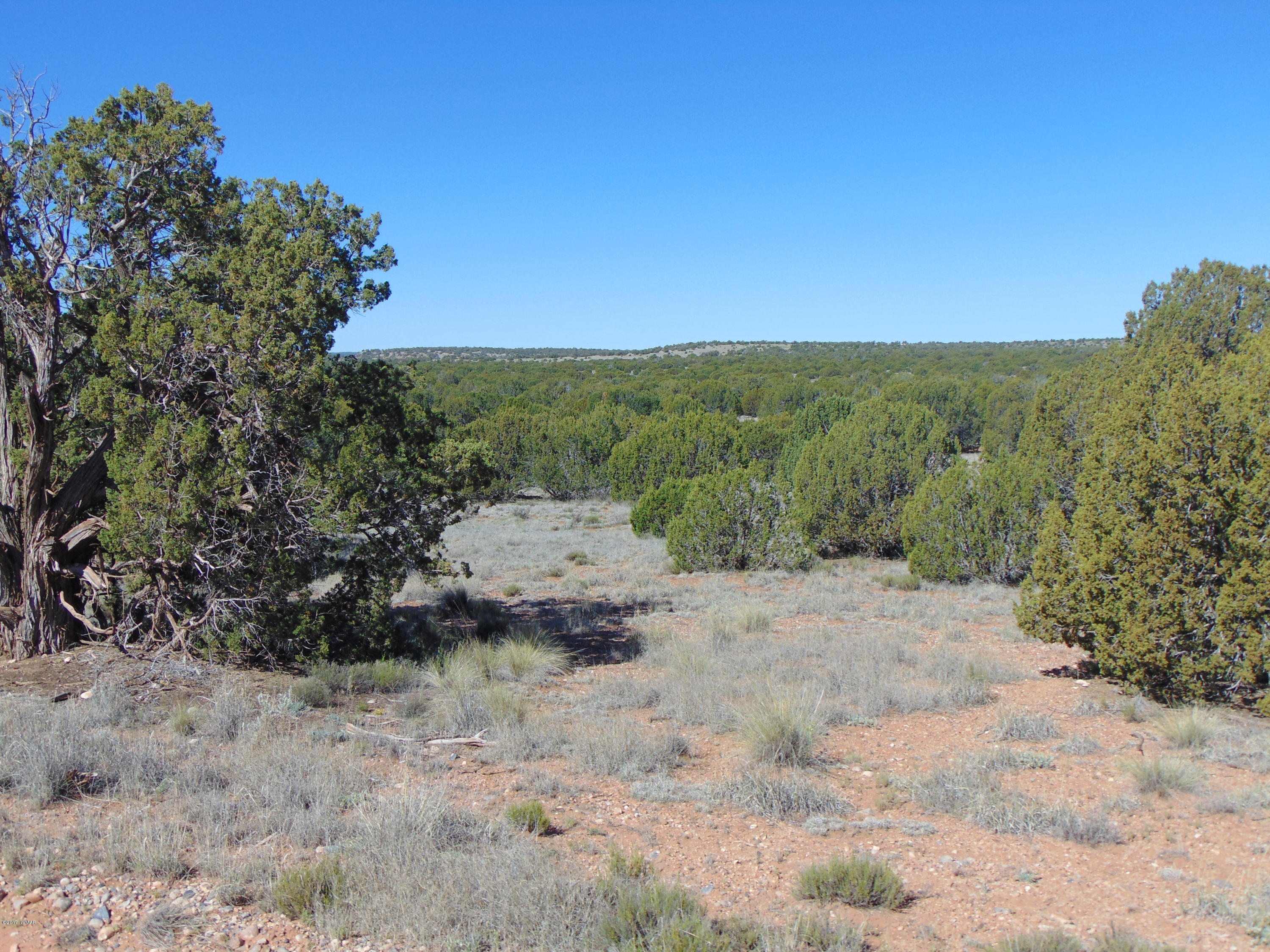 3634 Bum Heel Ranch Road Heber, AZ 85928 - Photo 19 of 33 Gallery Image 19
