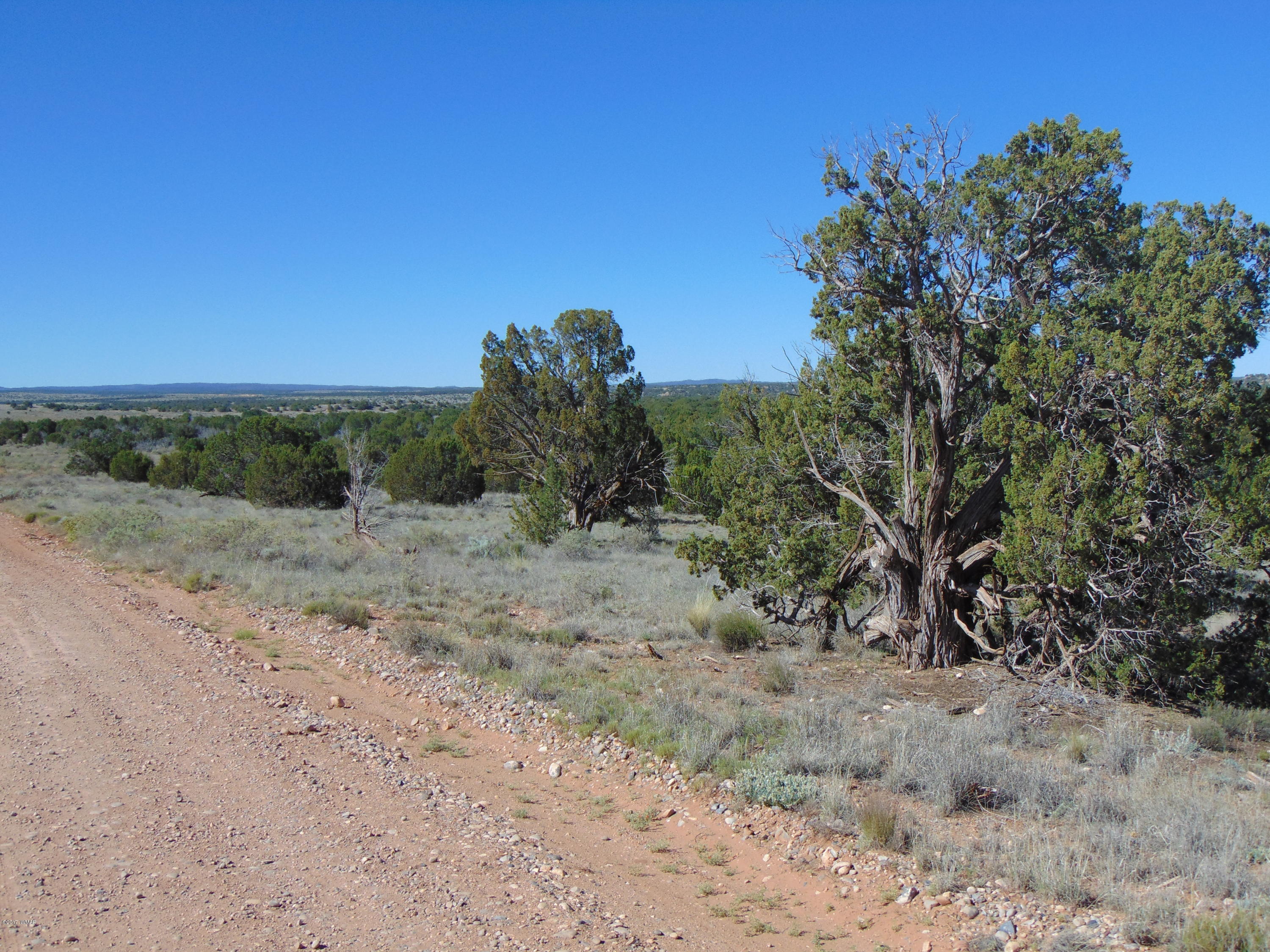 3634 Bum Heel Ranch Road Heber, AZ 85928 - Photo 20 of 33 Gallery Image 20
