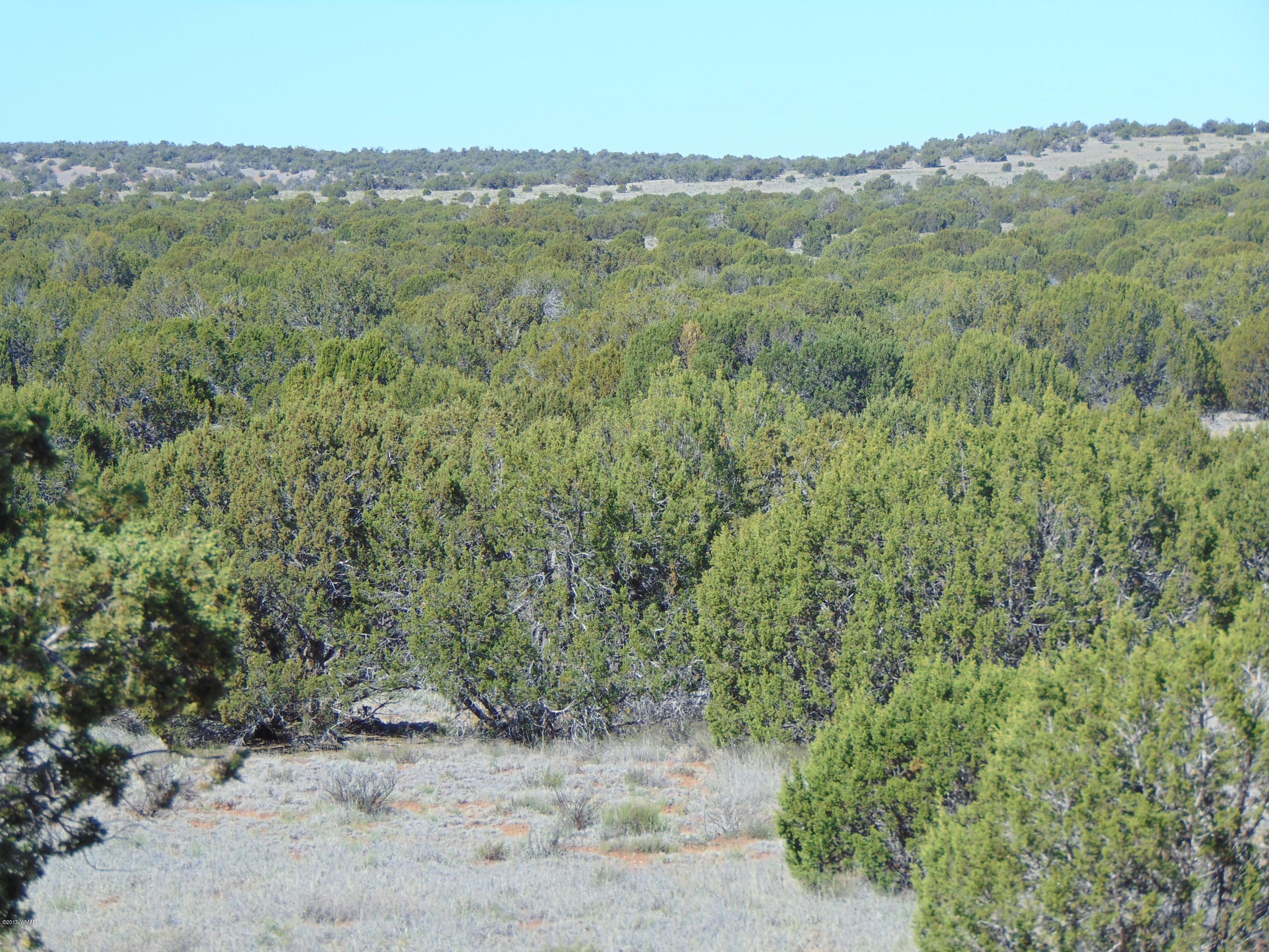 3634 Bum Heel Ranch Road Heber, AZ 85928 - Photo 21 of 33 Gallery Image 21
