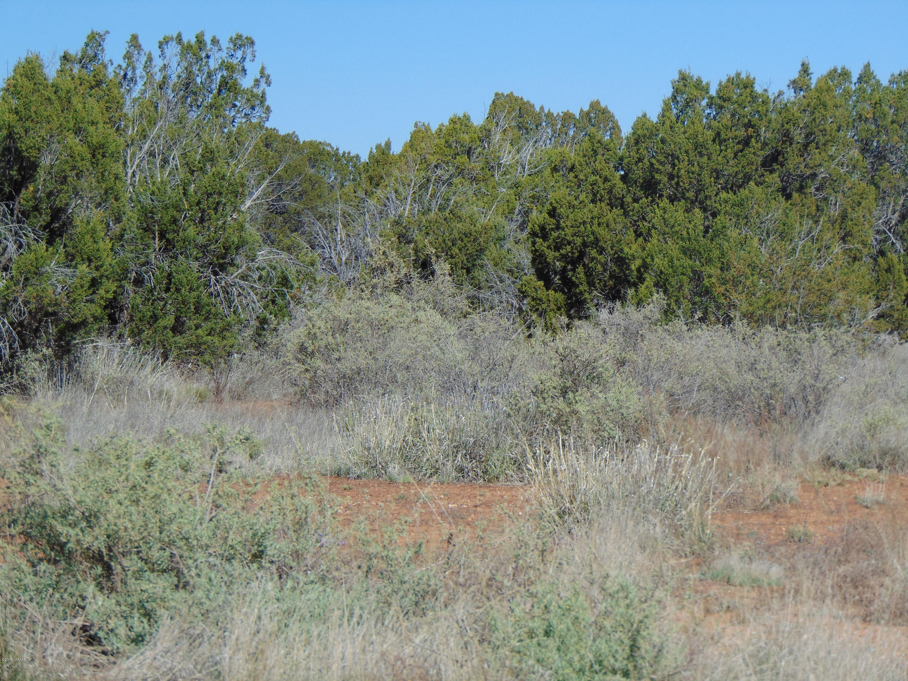3634 Bum Heel Ranch Road Heber, AZ 85928 - Photo 22 of 33 Gallery Image 22