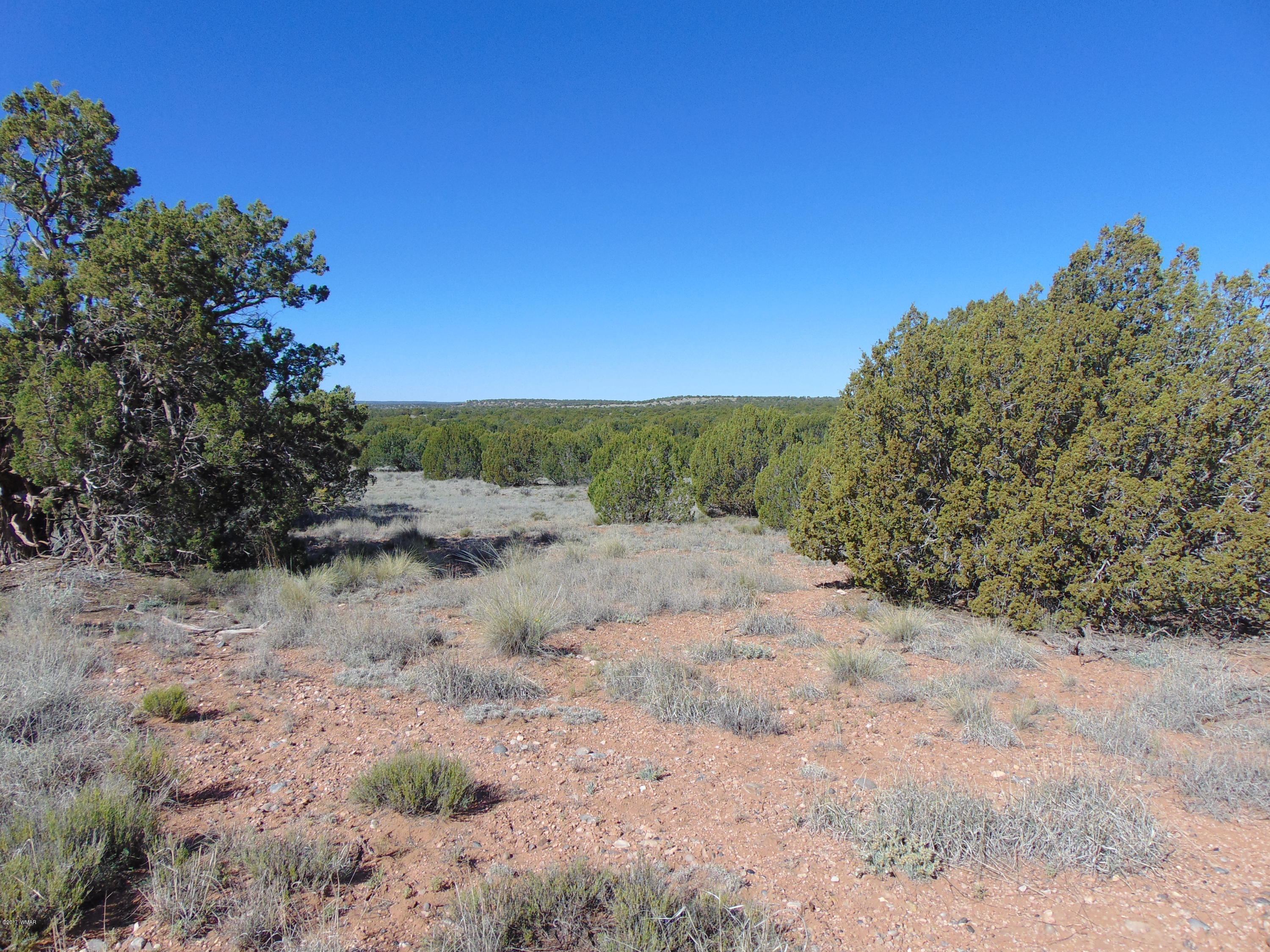 3634 Bum Heel Ranch Road Heber, AZ 85928 - Photo 24 of 33 Gallery Image 24