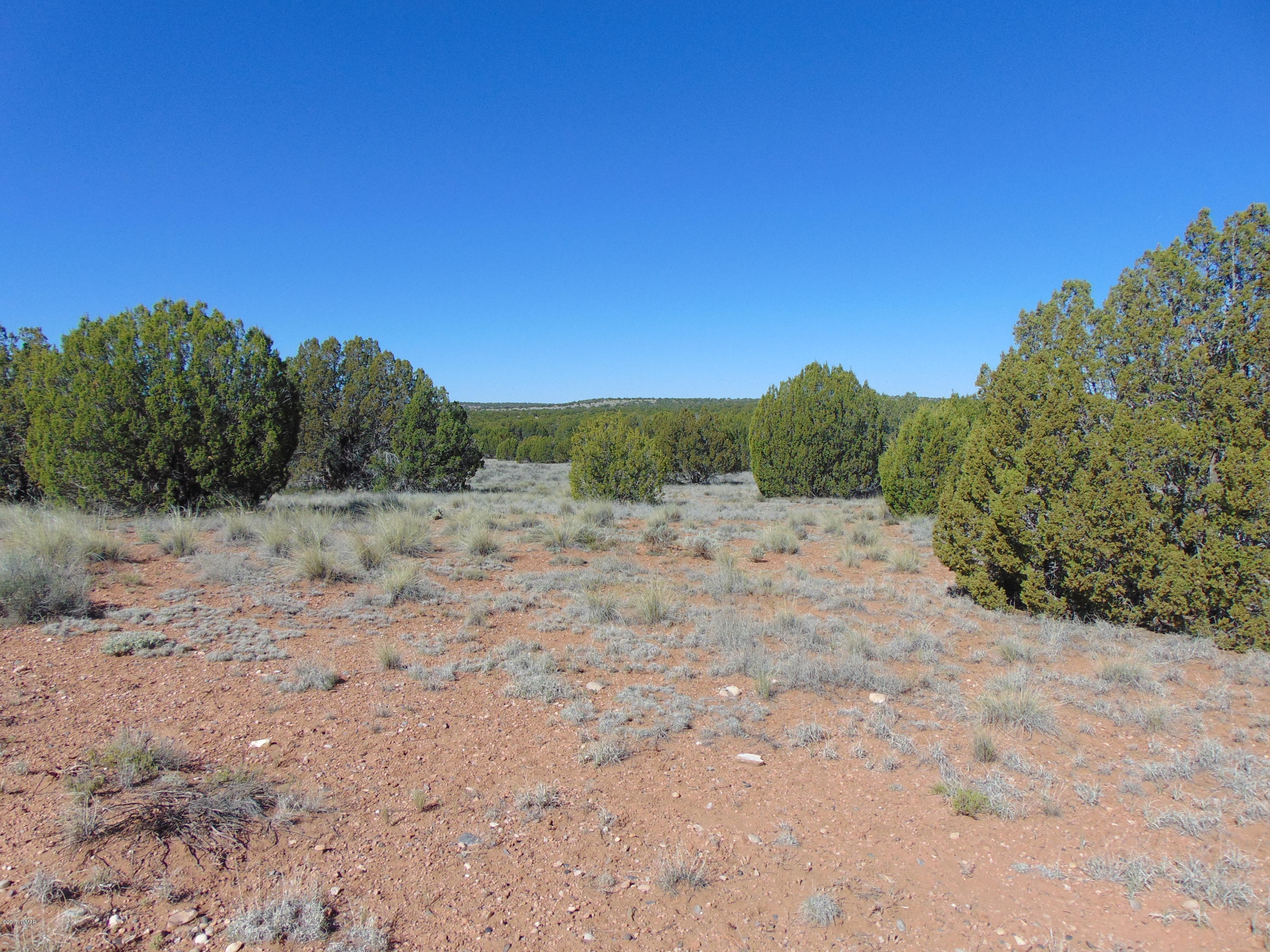 3634 Bum Heel Ranch Road Heber, AZ 85928 - Photo 25 of 33 Gallery Image 25