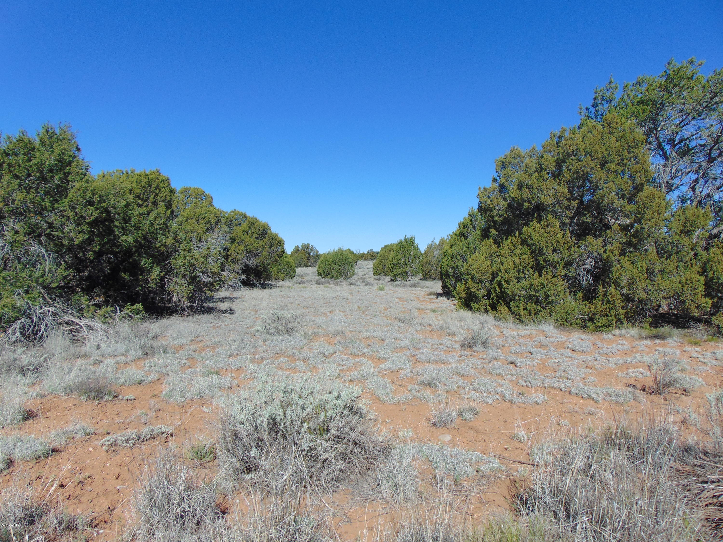 3634 Bum Heel Ranch Road Heber, AZ 85928 - Photo 26 of 33 Gallery Image 26