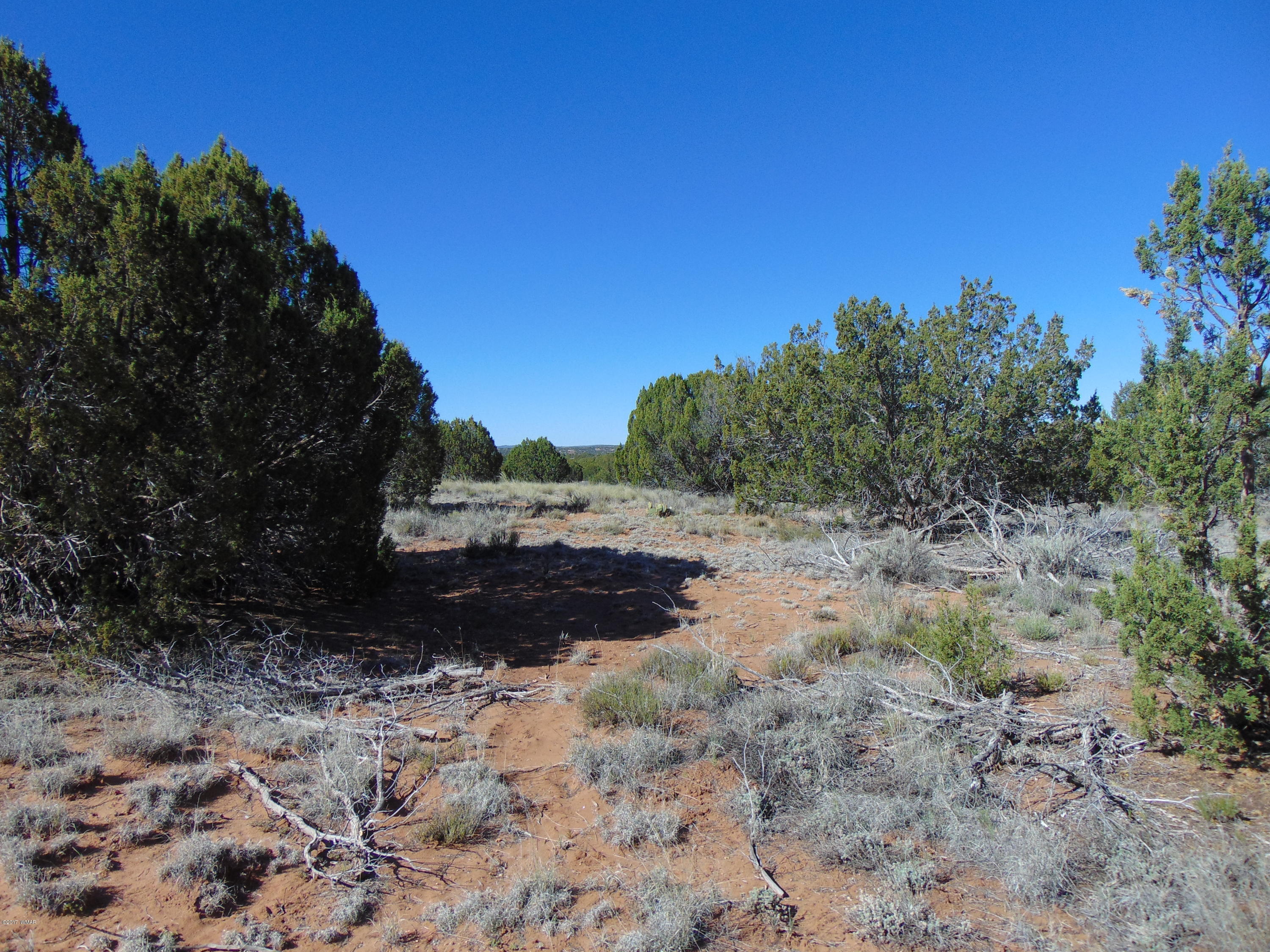 3634 Bum Heel Ranch Road Heber, AZ 85928 - Photo 27 of 33 Gallery Image 27