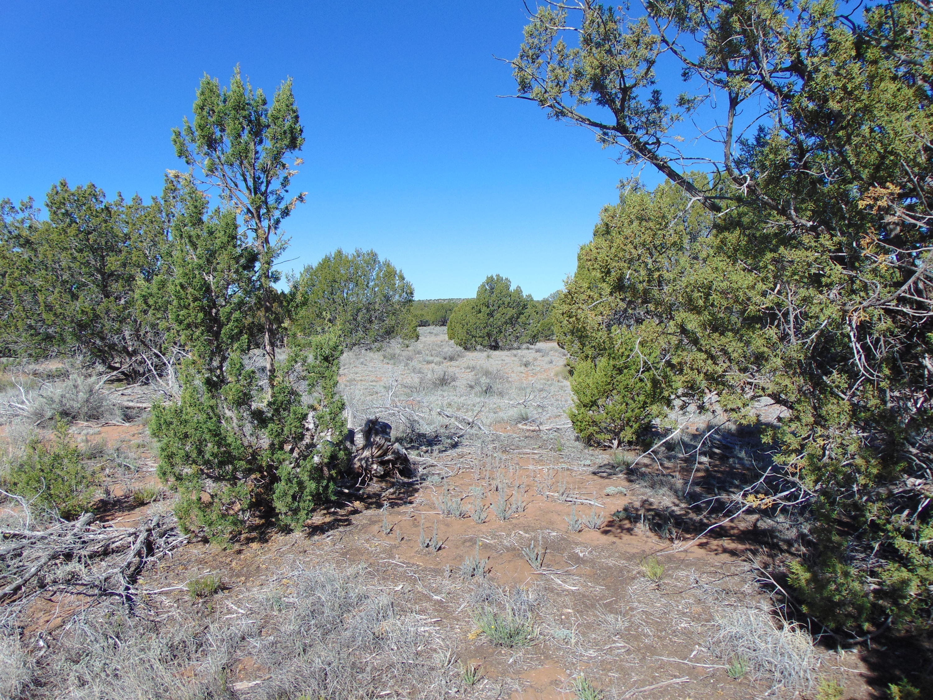 3634 Bum Heel Ranch Road Heber, AZ 85928 - Photo 28 of 33 Gallery Image 28
