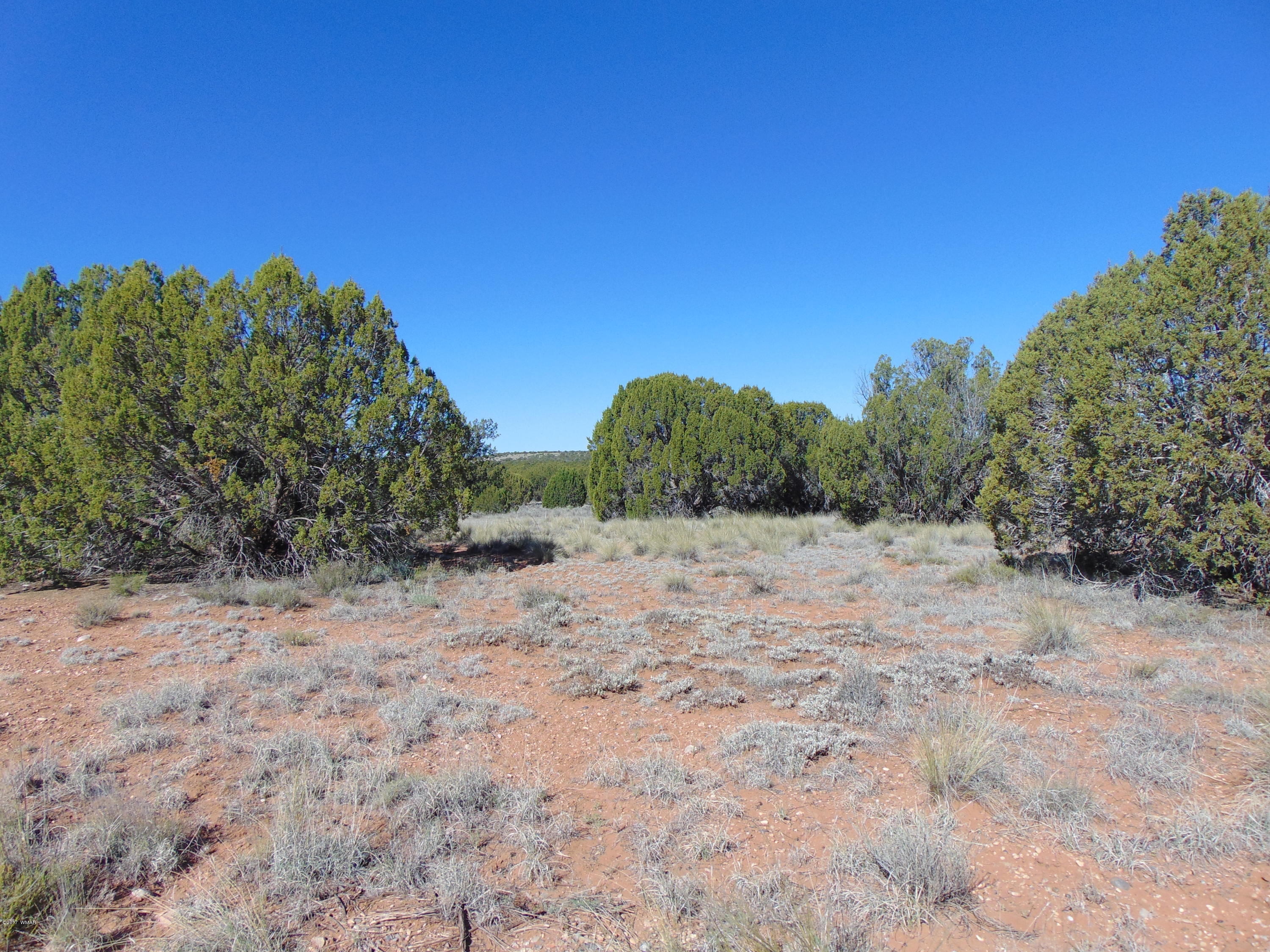 3634 Bum Heel Ranch Road Heber, AZ 85928 - Photo 29 of 33 Gallery Image 29