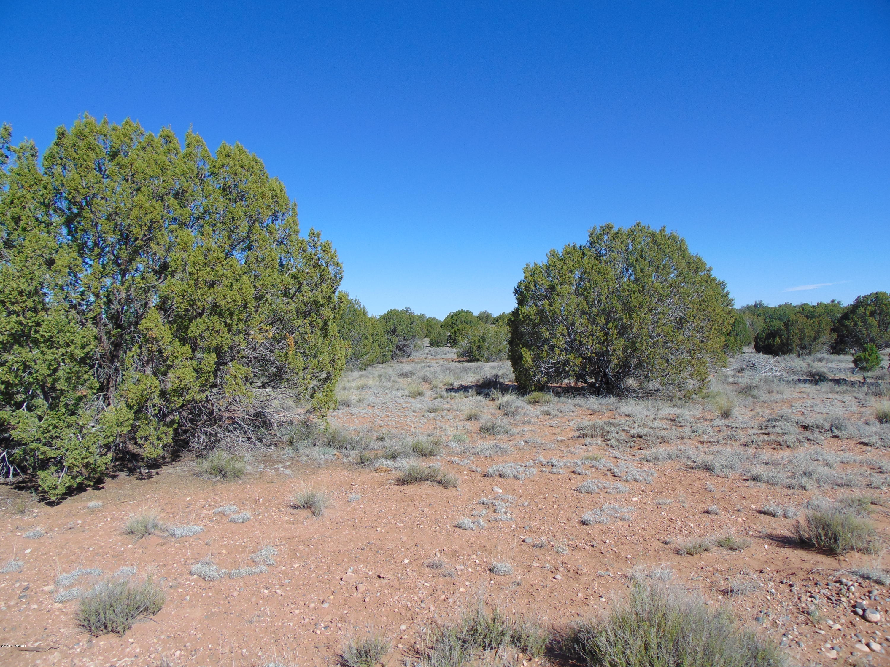 3634 Bum Heel Ranch Road Heber, AZ 85928 - Photo 30 of 33 Gallery Image 30