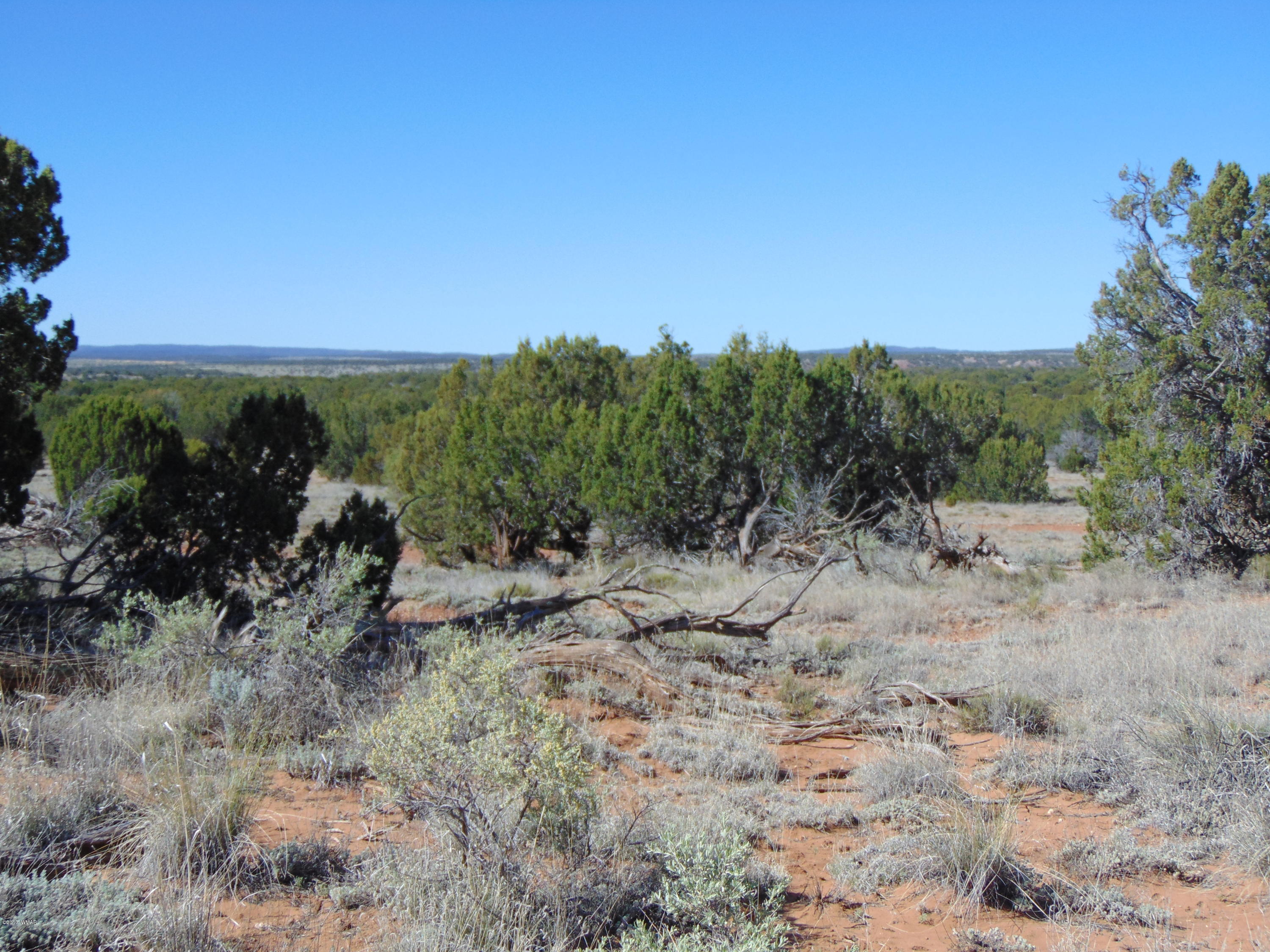 3634 Bum Heel Ranch Road Heber, AZ 85928 - Photo 4 of 33 Gallery Image 4