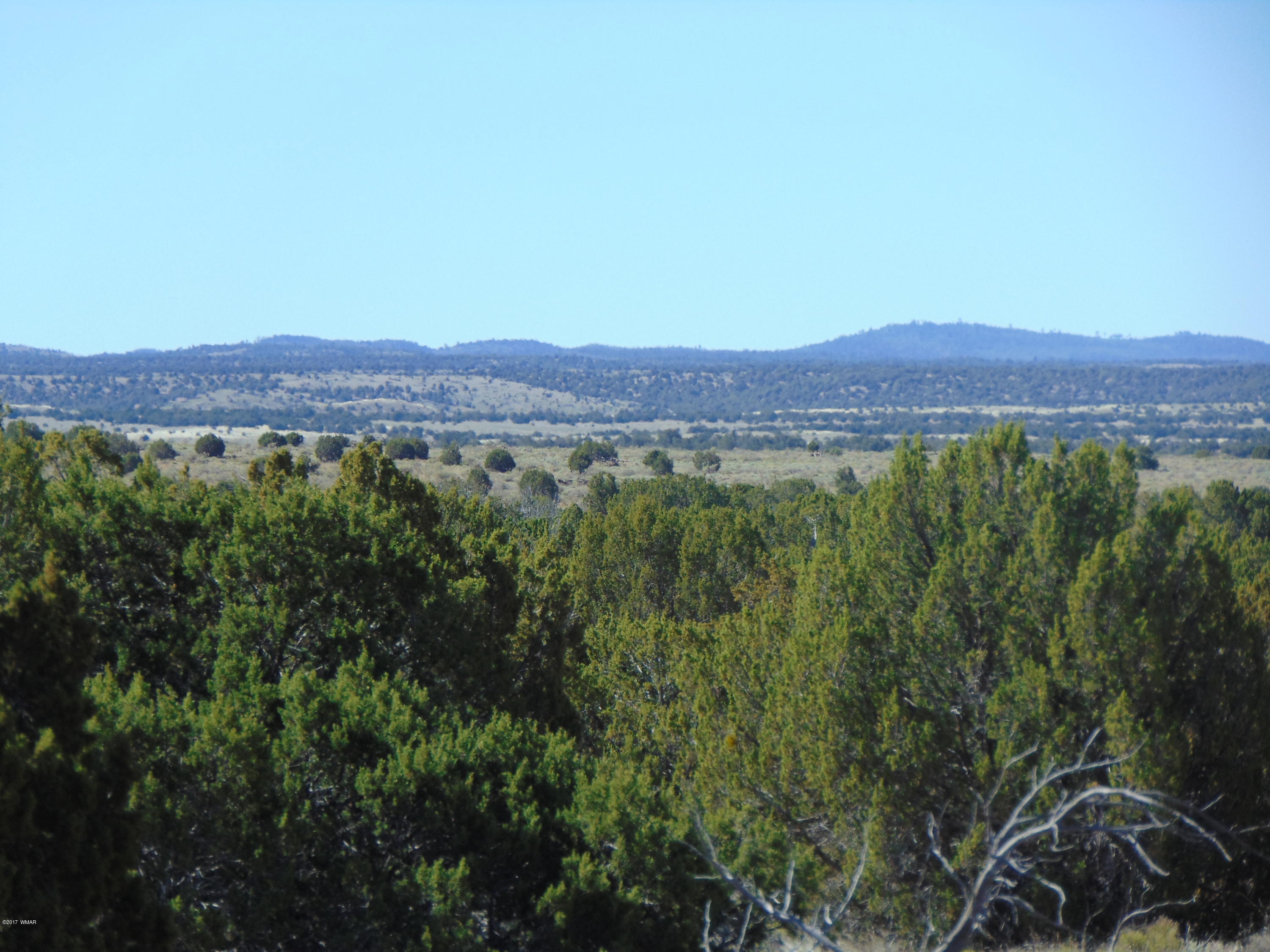 3634 Bum Heel Ranch Road Heber, AZ 85928 - Photo 5 of 33 Gallery Image 5