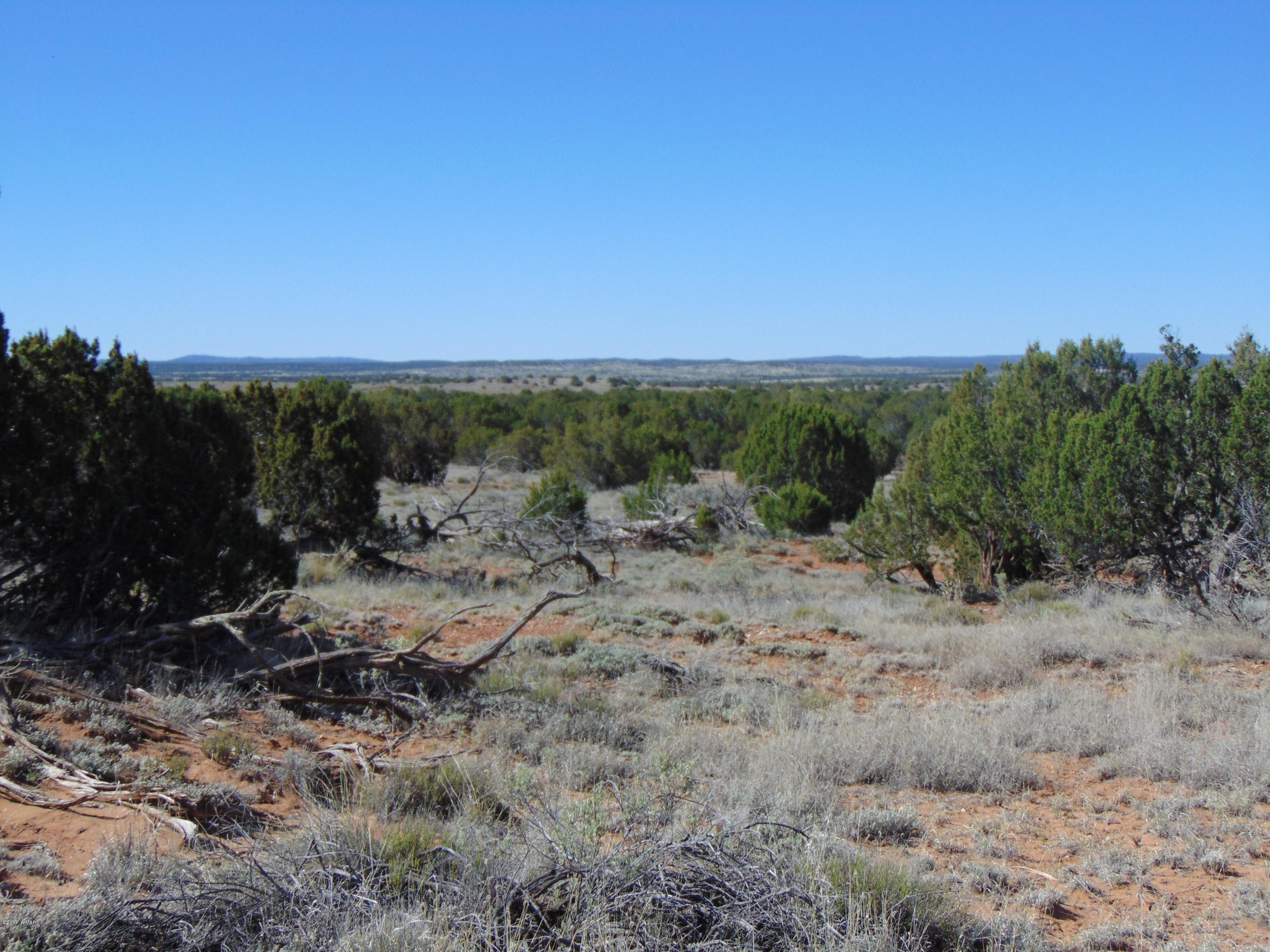 3634 Bum Heel Ranch Road Heber, AZ 85928 - Photo 6 of 33 Gallery Image 6