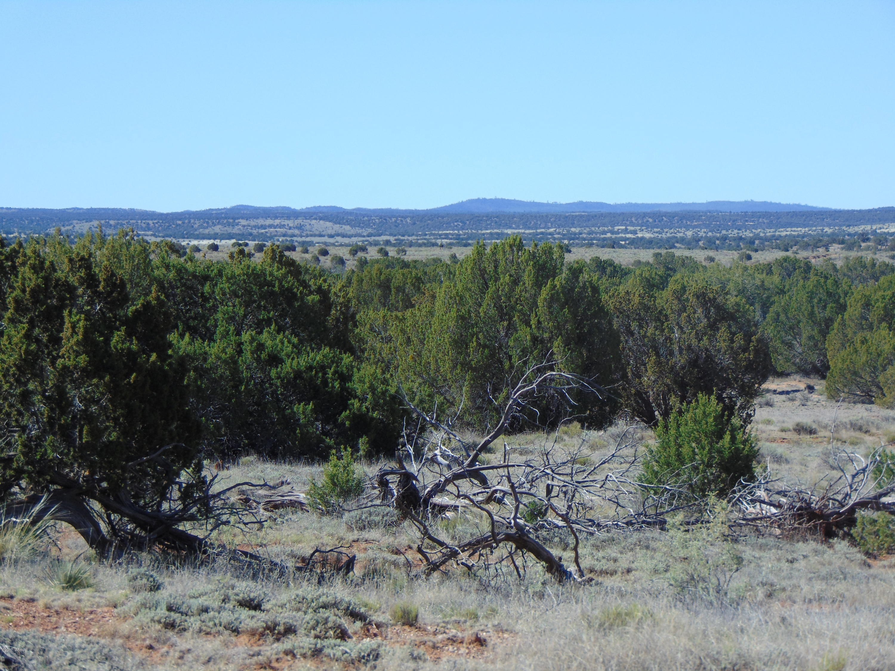 3634 Bum Heel Ranch Road Heber, AZ 85928 - Photo 7 of 33 Gallery Image 7