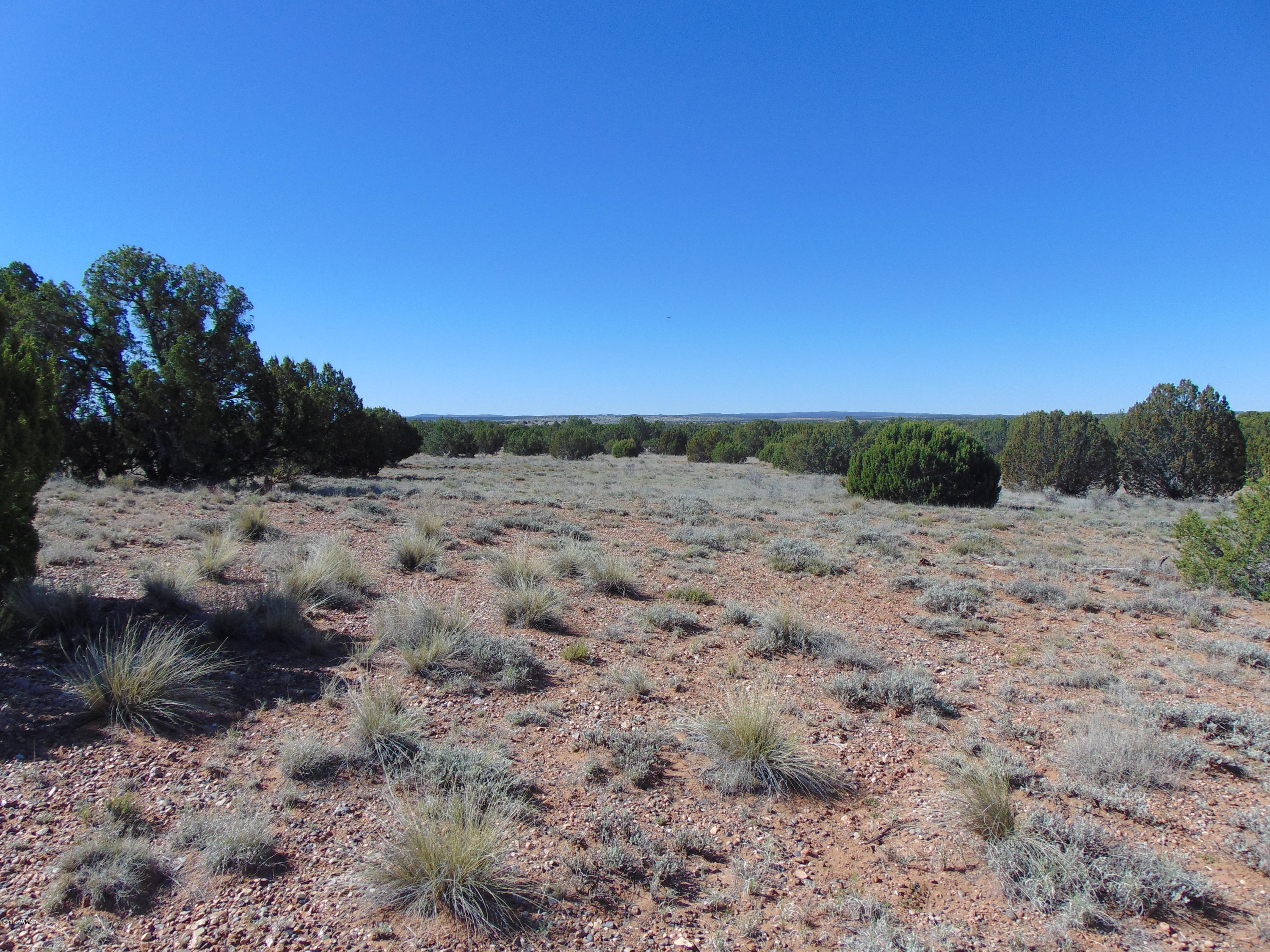 3634 Bum Heel Ranch Road Heber, AZ 85928 - Photo 8 of 33 Gallery Image 8