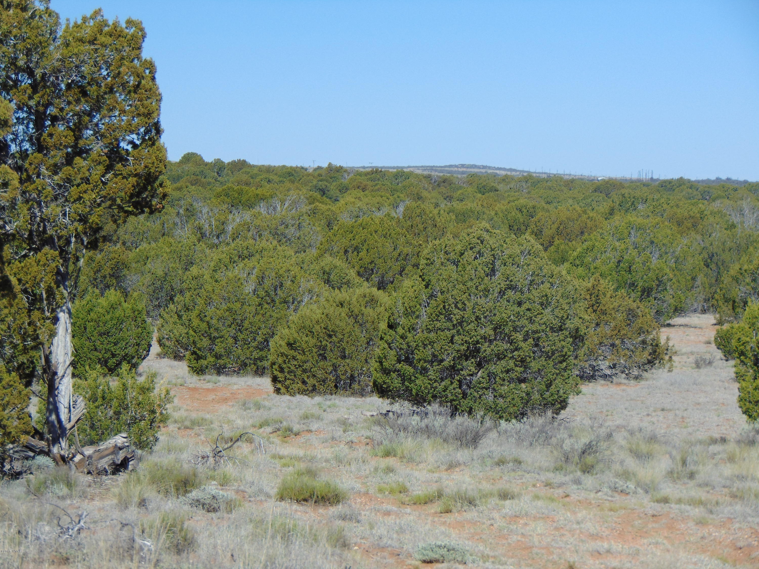 3634 Bum Heel Ranch Road Heber, AZ 85928 - Photo 9 of 33 Gallery Image 9