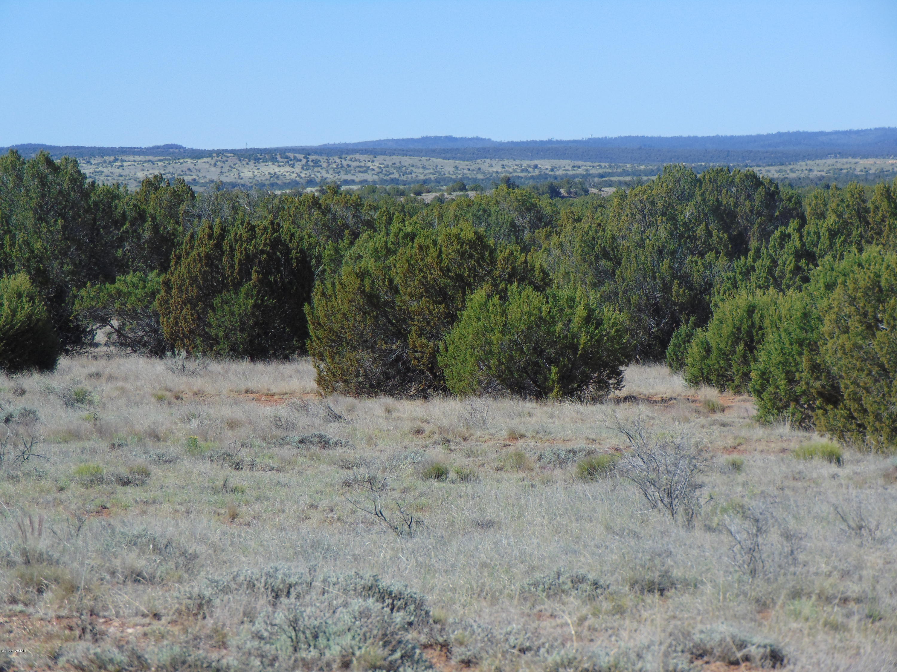 3634 Bum Heel Ranch Road Heber, AZ 85928 - Photo 10 of 33 Gallery Image 10