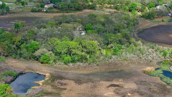 a view of a dirt road with plants and trees