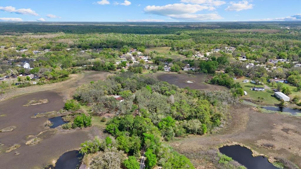 Indale Drive New Port Richey, FL 34654 - Photo 11 of 22