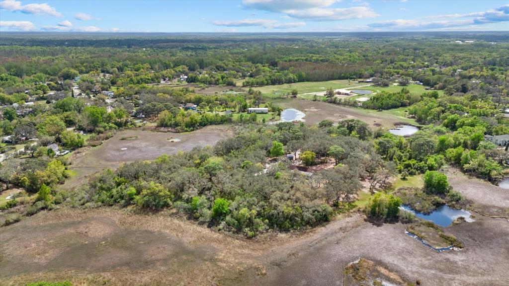 Indale Drive New Port Richey, FL 34654 - Photo 13 of 22