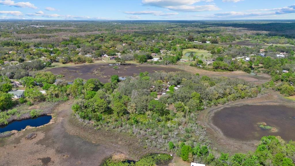 Indale Drive New Port Richey, FL 34654 - Photo 16 of 22