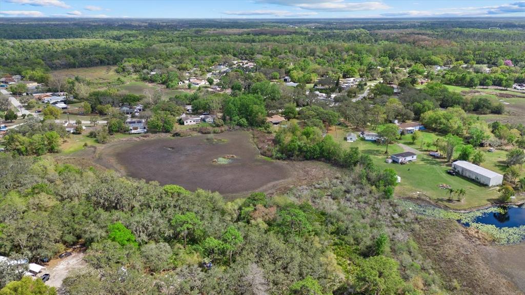 Indale Drive New Port Richey, FL 34654 - Photo 17 of 22